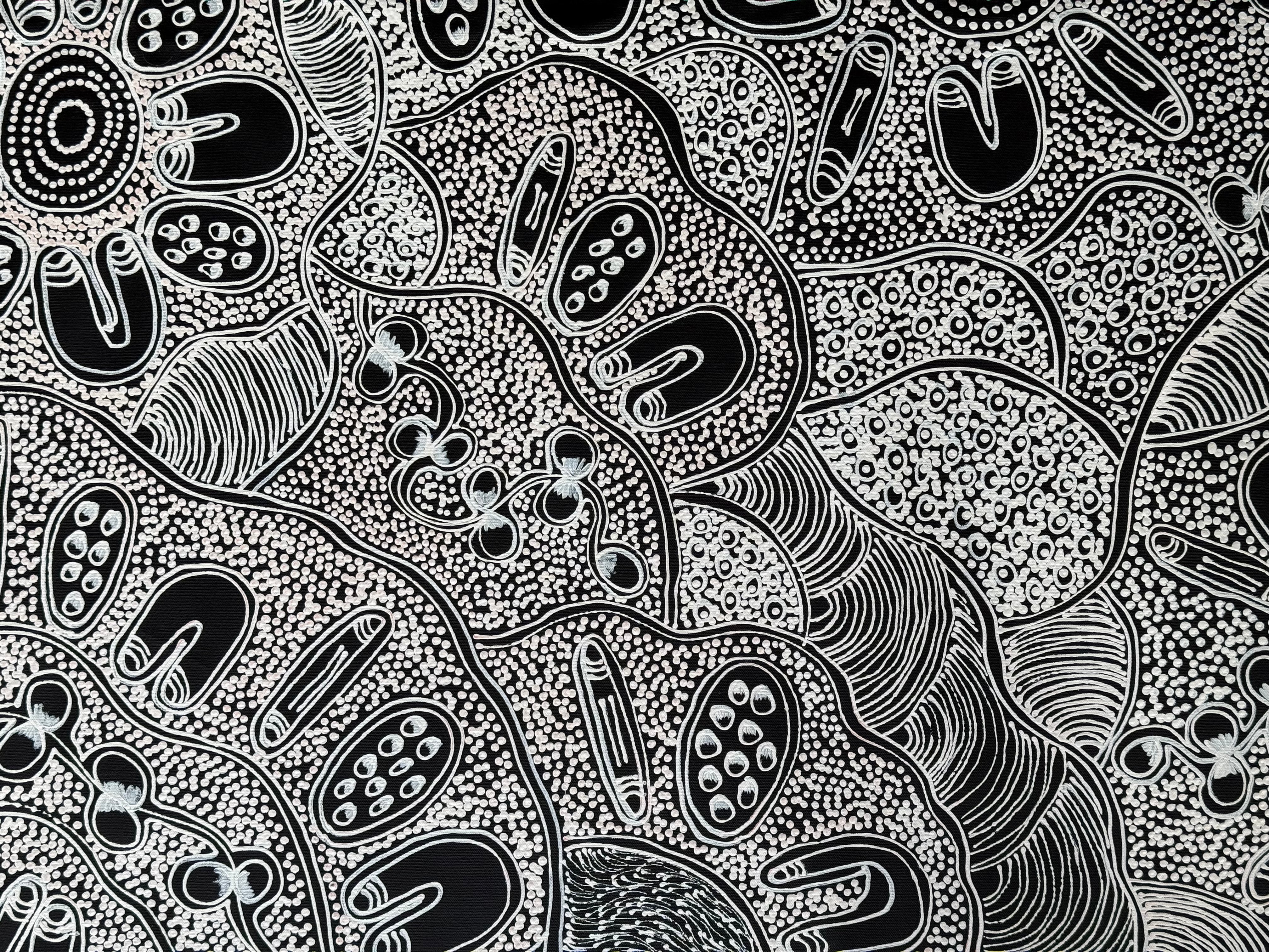 Lanita Numina - Women Collect Bushplums .80-4