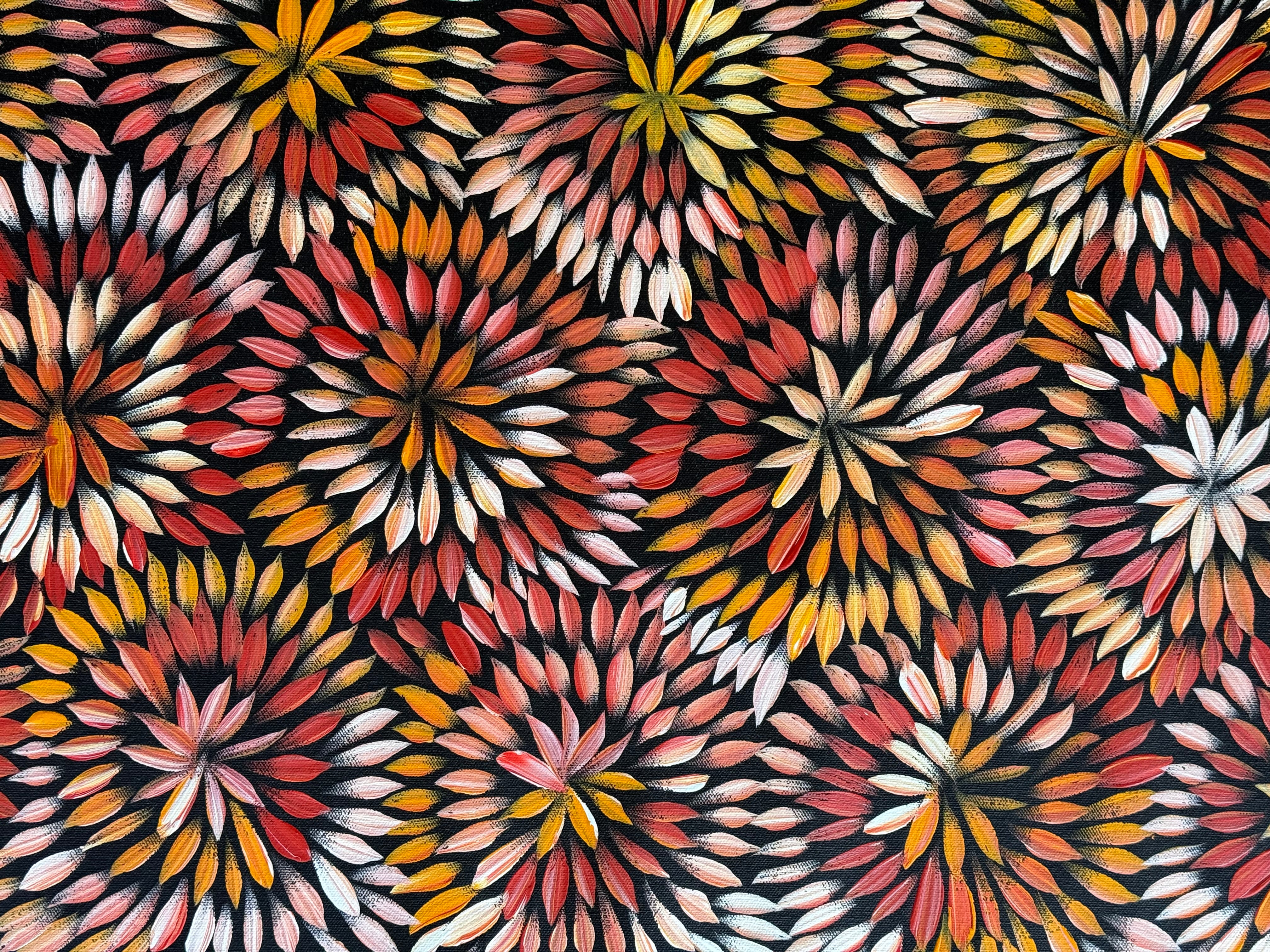 Sharon Numina - Bush Medicine Flowers .83-6
