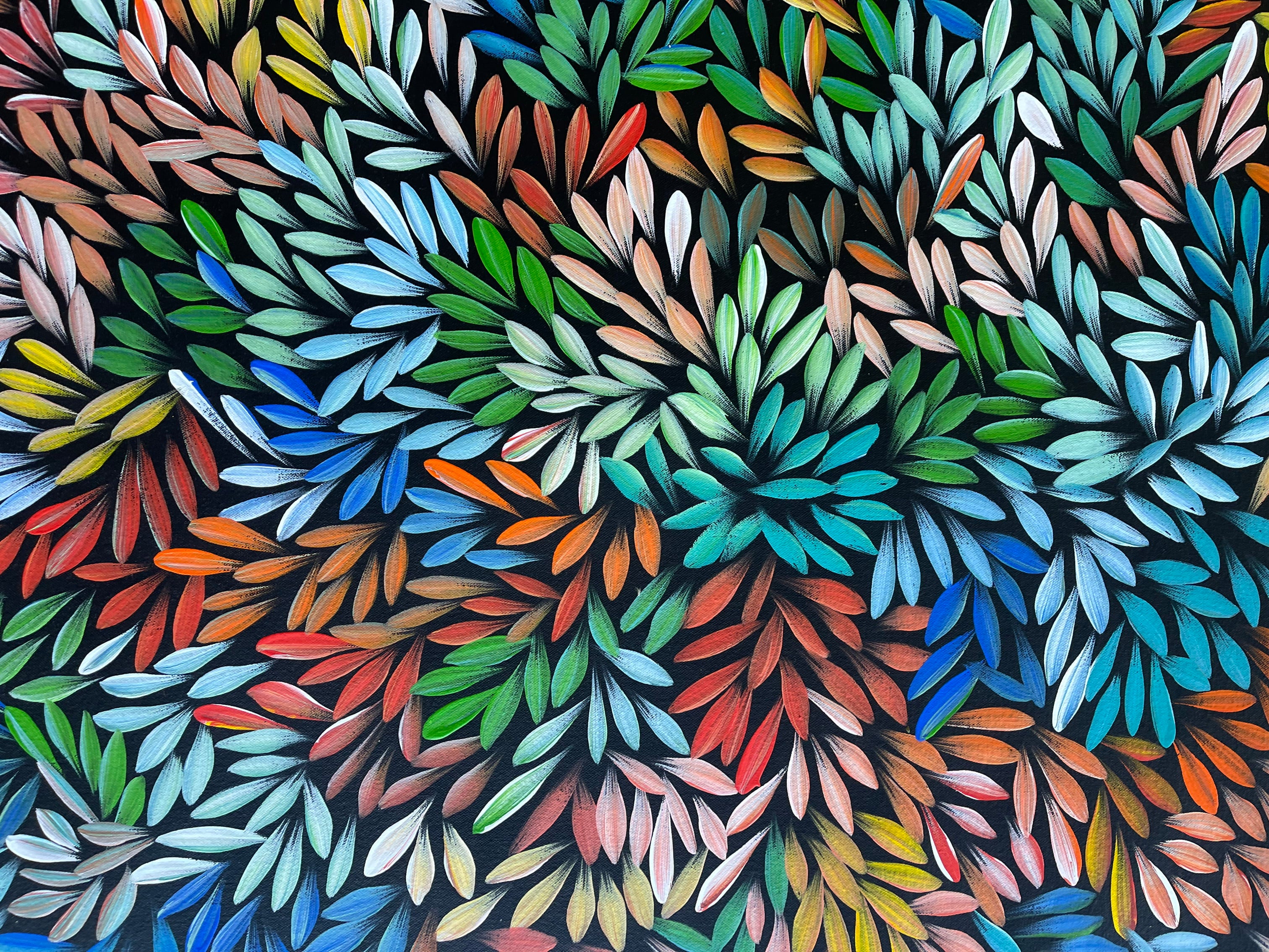 Sharon Numina - Bush Medicine Leaves - 132x95cm .80-31