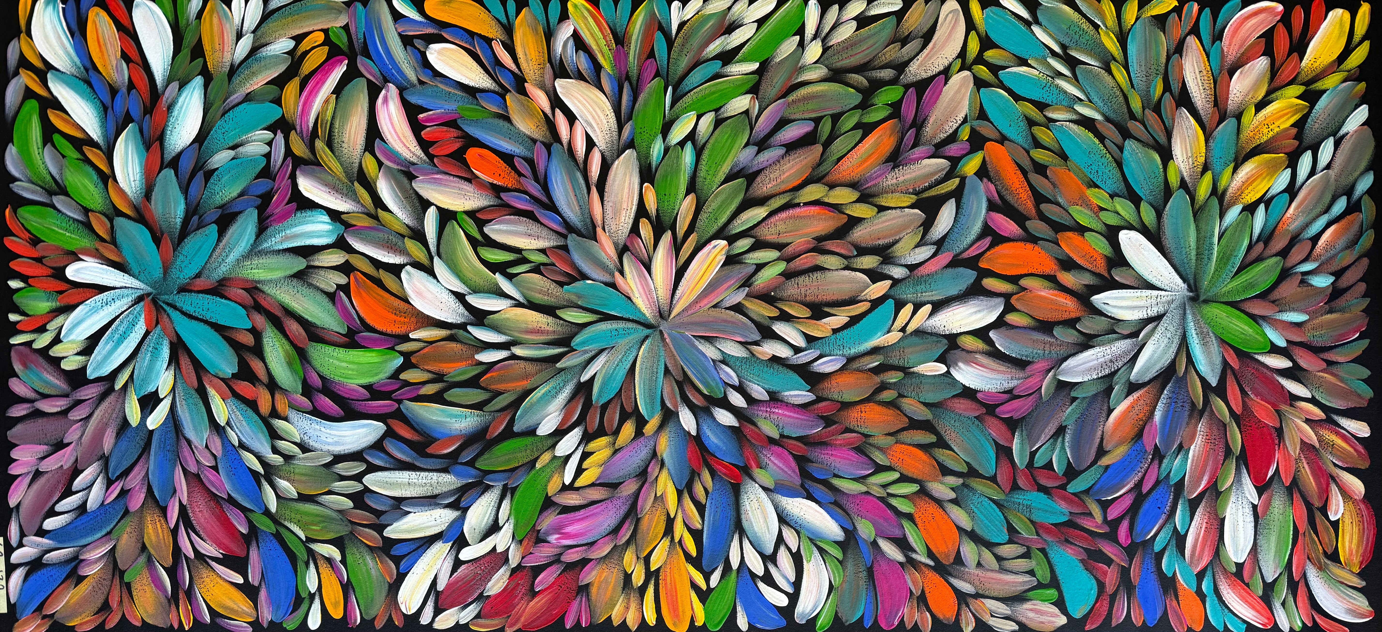Louise Numina Napananka - Bush Medicine Leaves .21-19