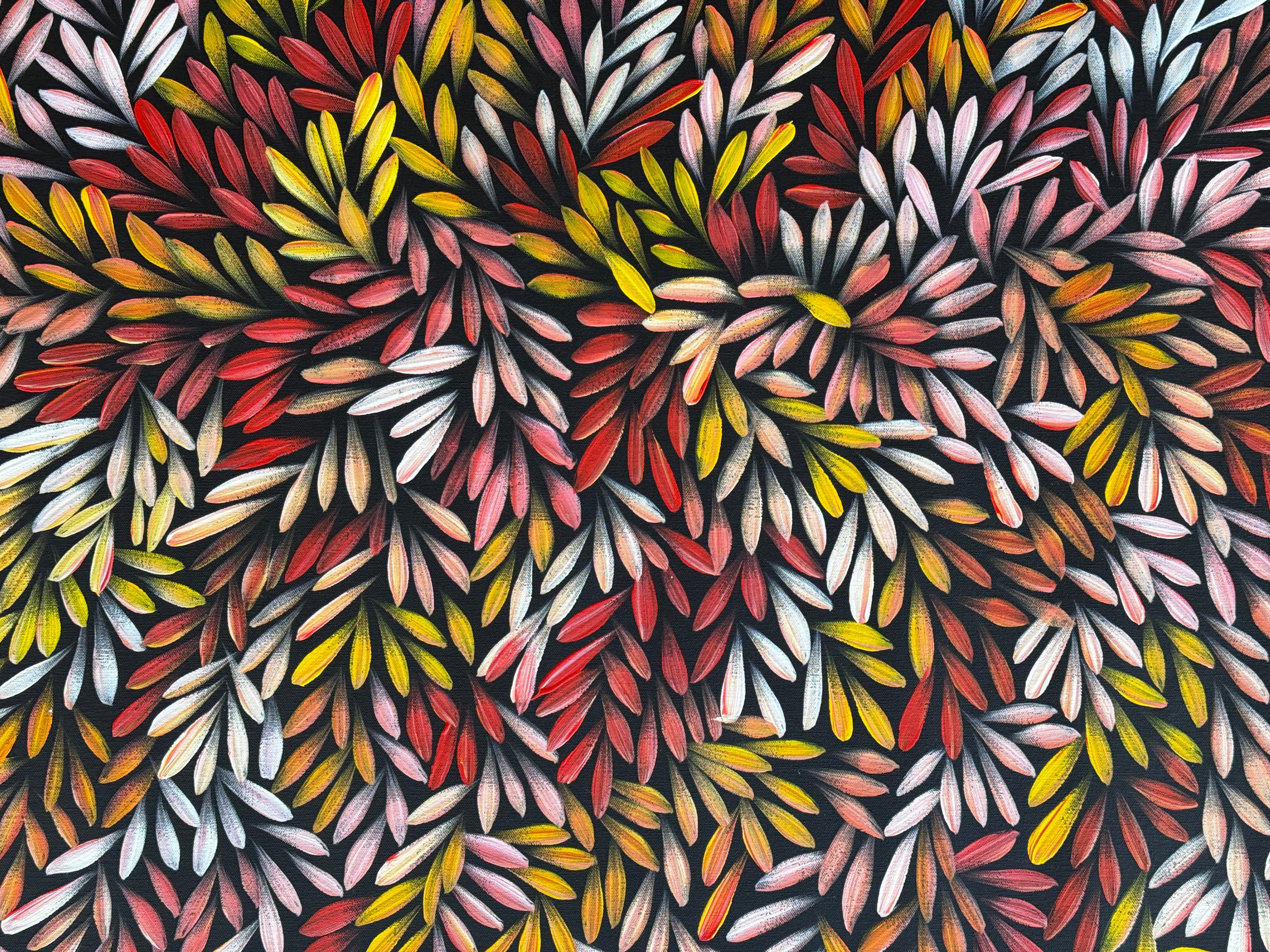 Sharon Numina - Bush Medicine Leaves .95-4