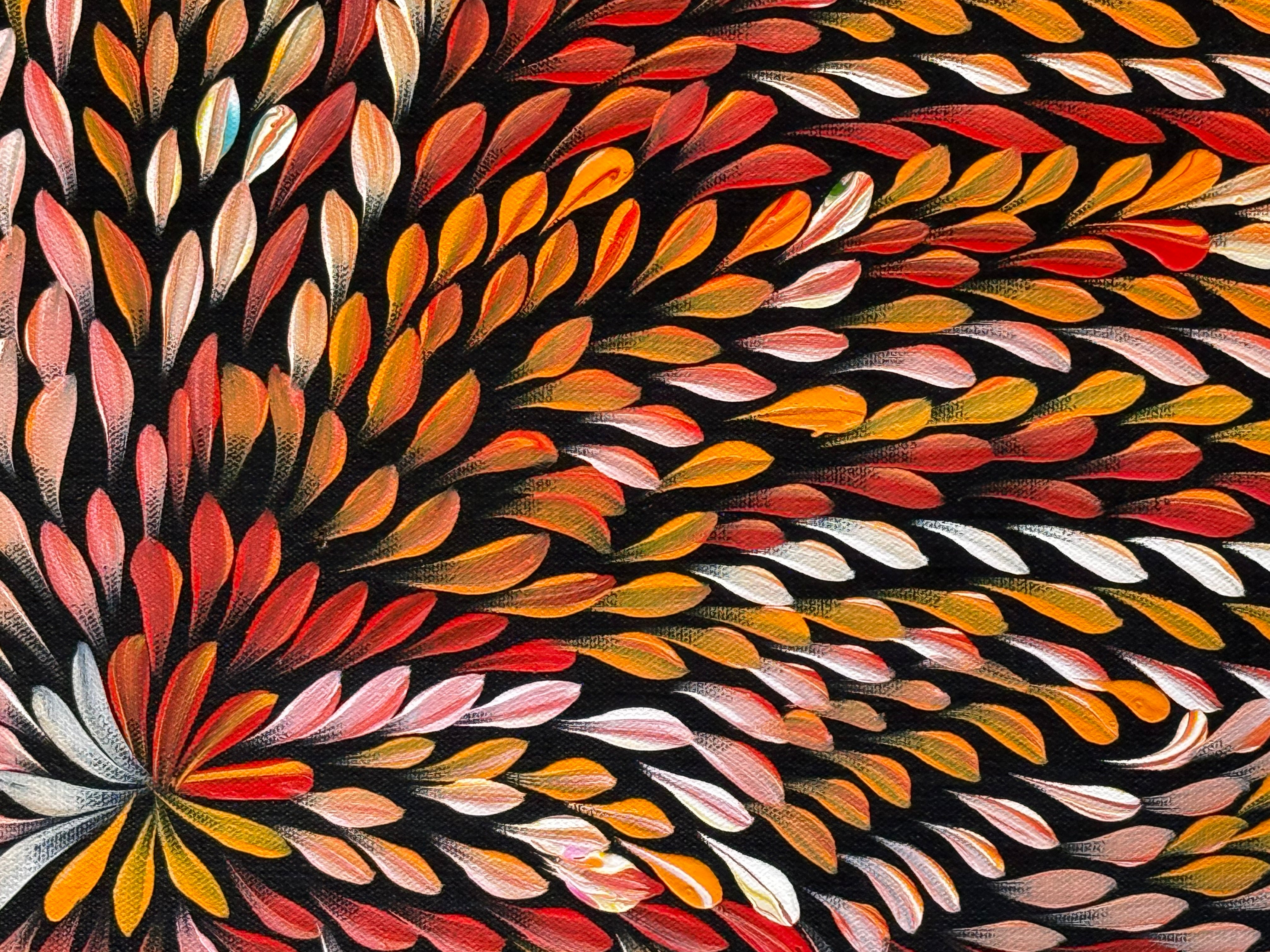 Caroline Numina - Bush Medicine Leaves .04-39