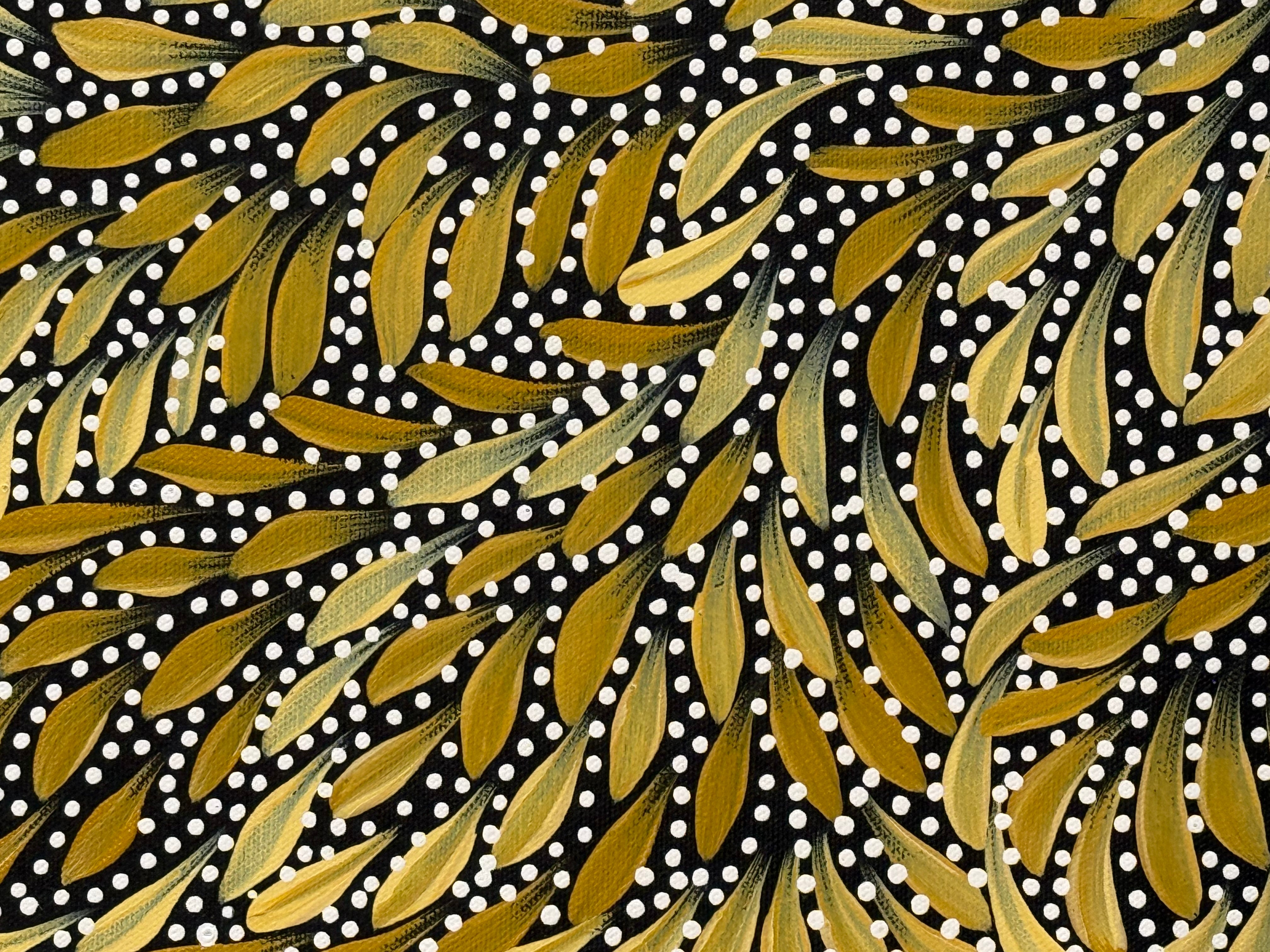 Caroline Numina - Bush Medicine Leaves and Seeds .04-22