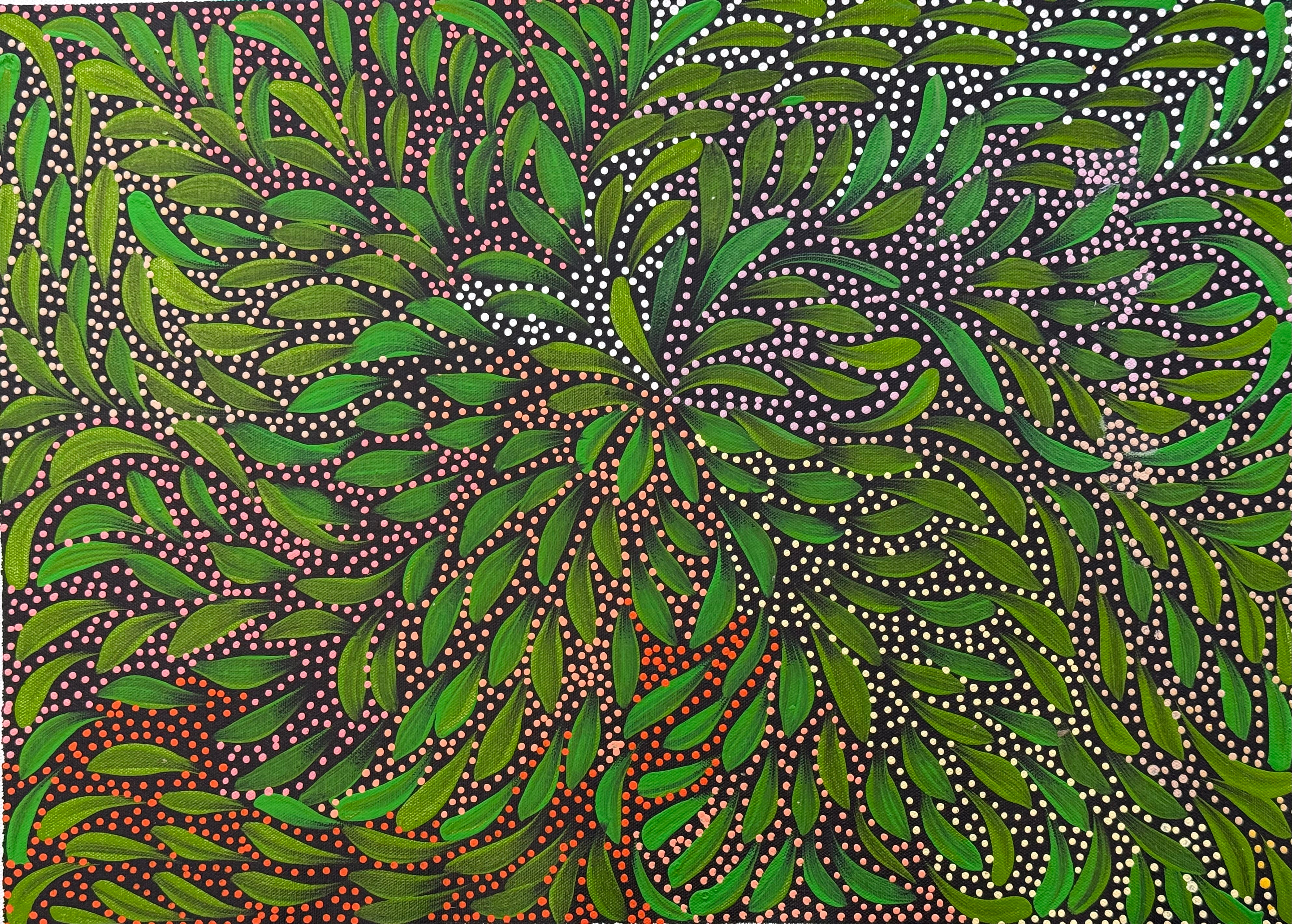 Caroline Numina - Bush Medicine Leaves and Seeds .04-16
