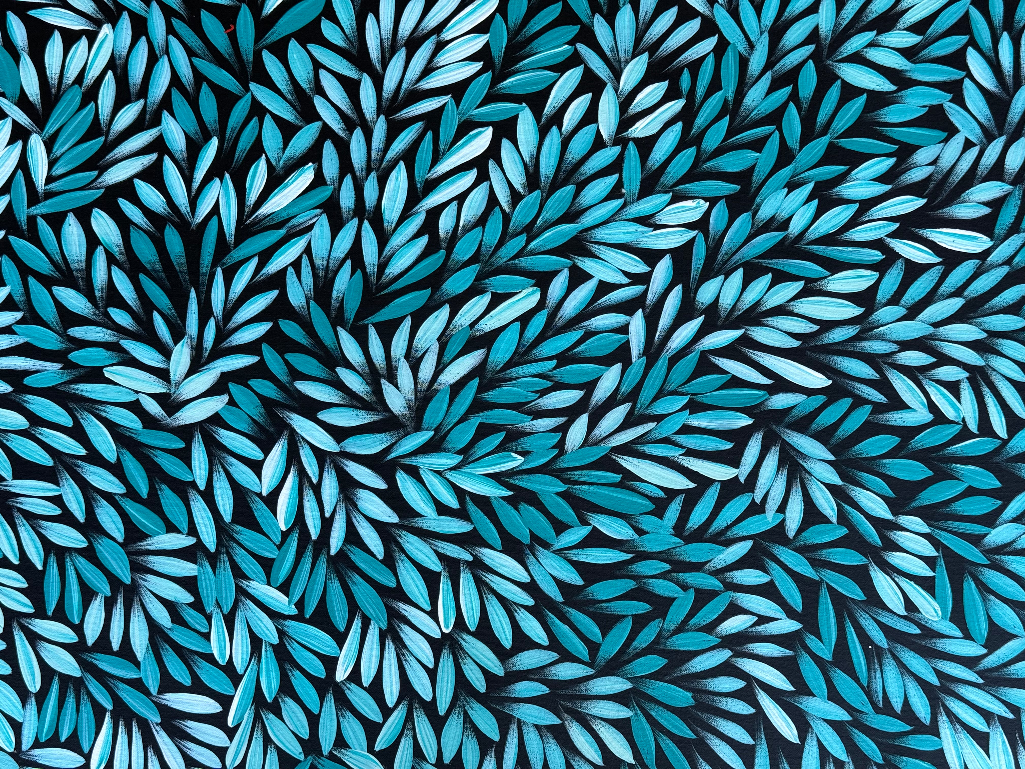 Sharon Numina - Bush Medicine Leaves .50-7