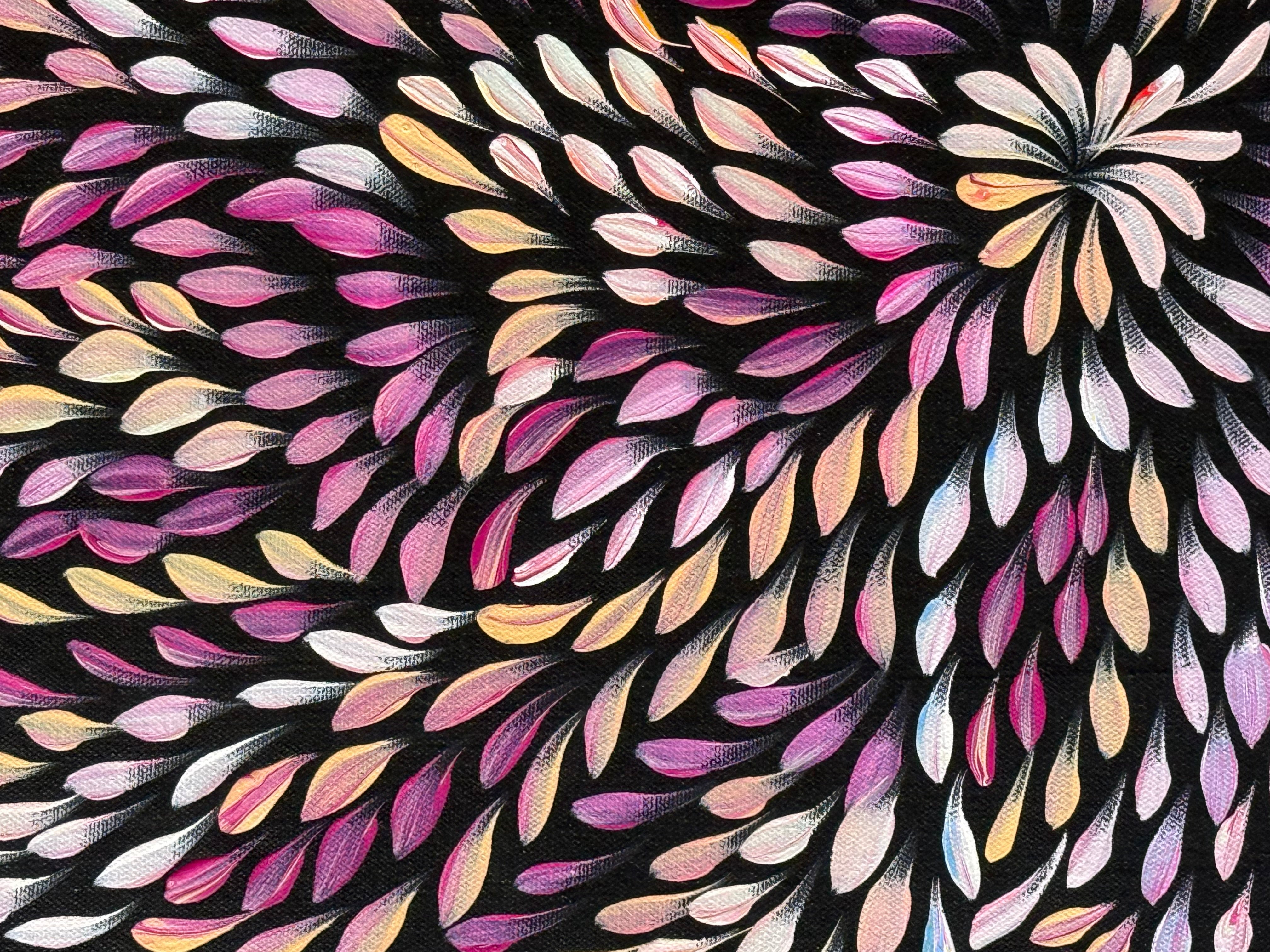 Caroline Numina - Bush Medicine Leaves .04-45