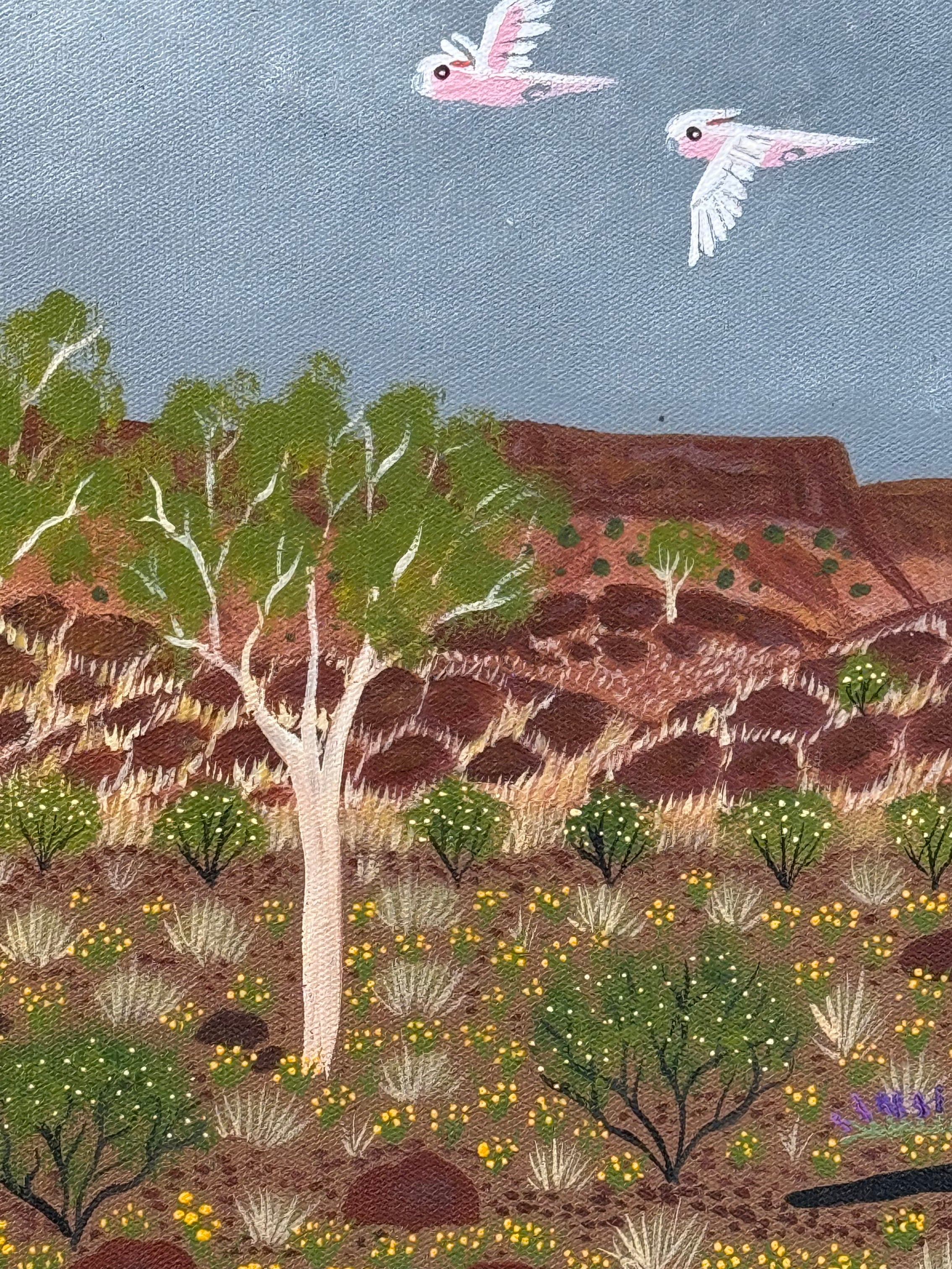 Kathleen Buzzacott - Wildflowers, Central Australia - 30x30cm .17-10