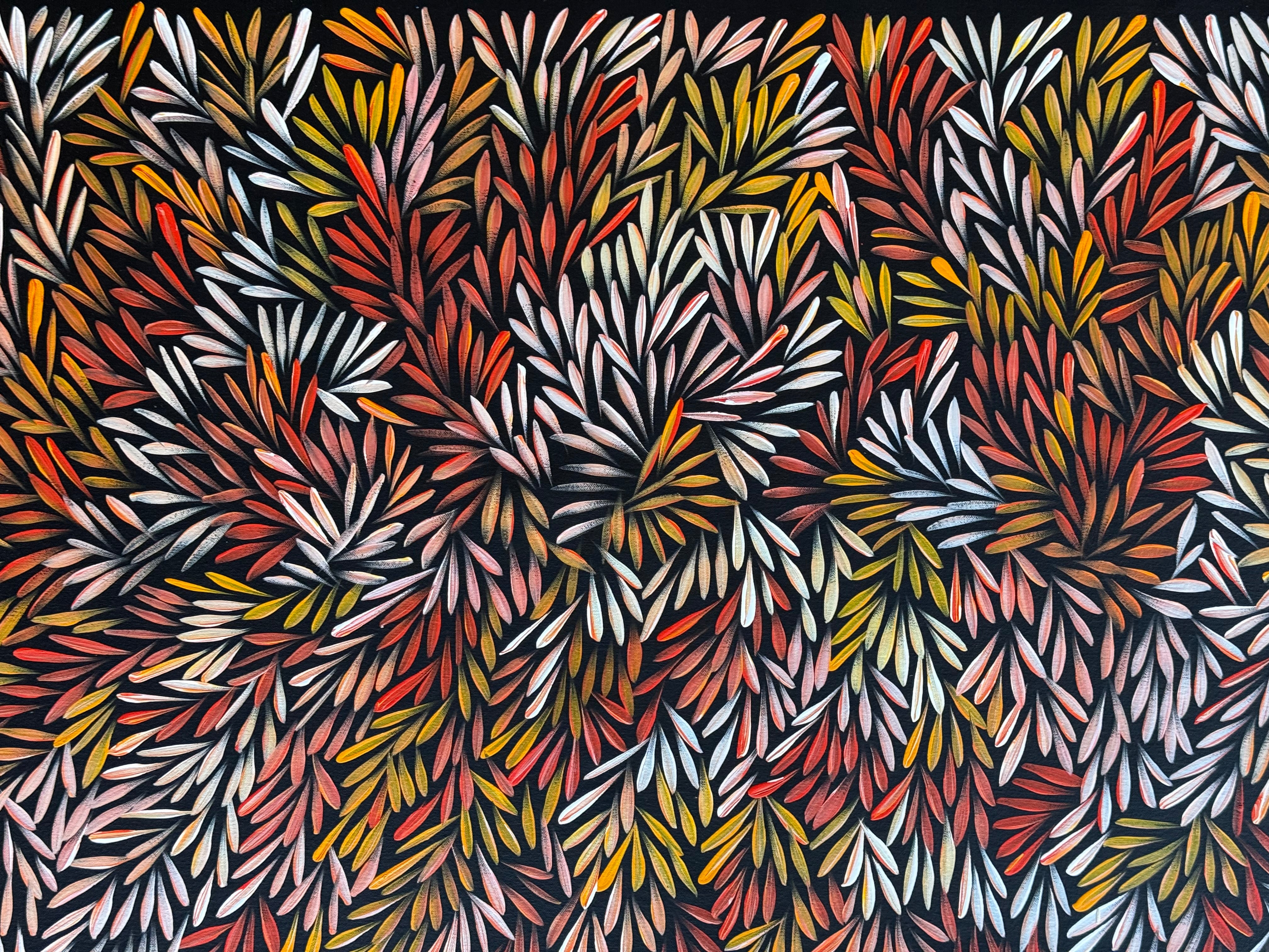 Sharon Numina - Bush Medicine Seeds .50-9