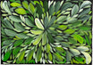 Louise Numina Napananka - Bush Medicine Leaves .19-22