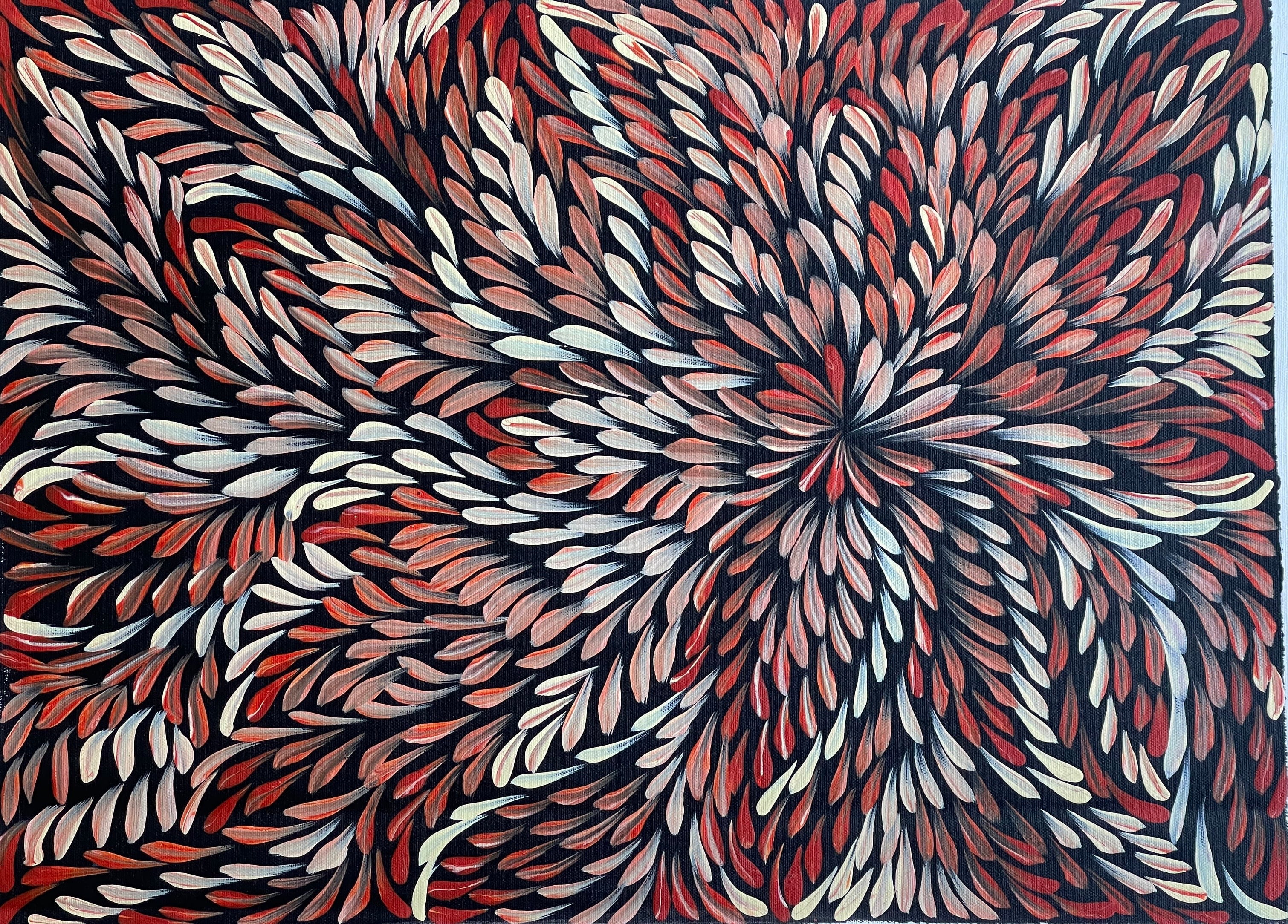 Caroline Numina - Bush Medicine Leaves - 55x40cm .79-11