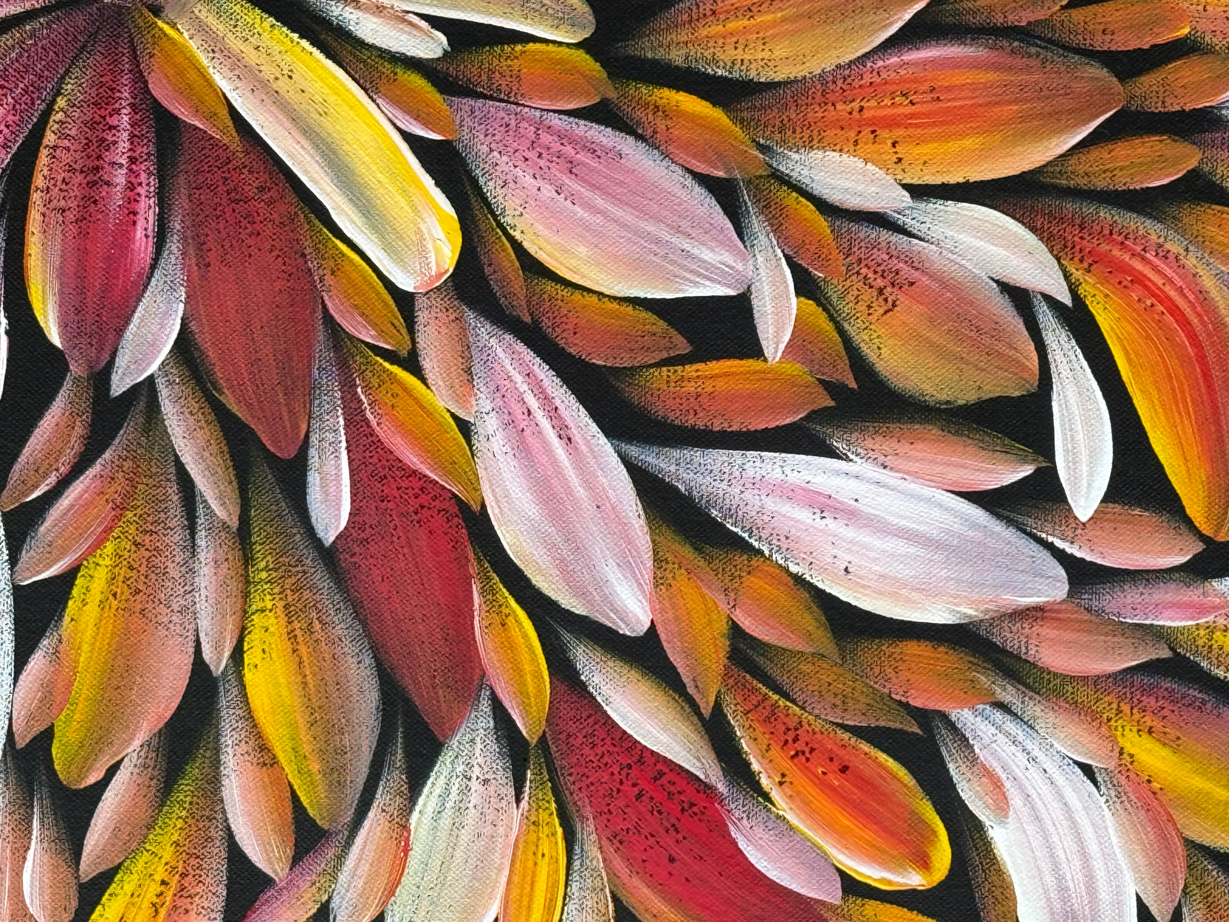 Louise Numina Napananka - Bush Medicine Leaves .57-63