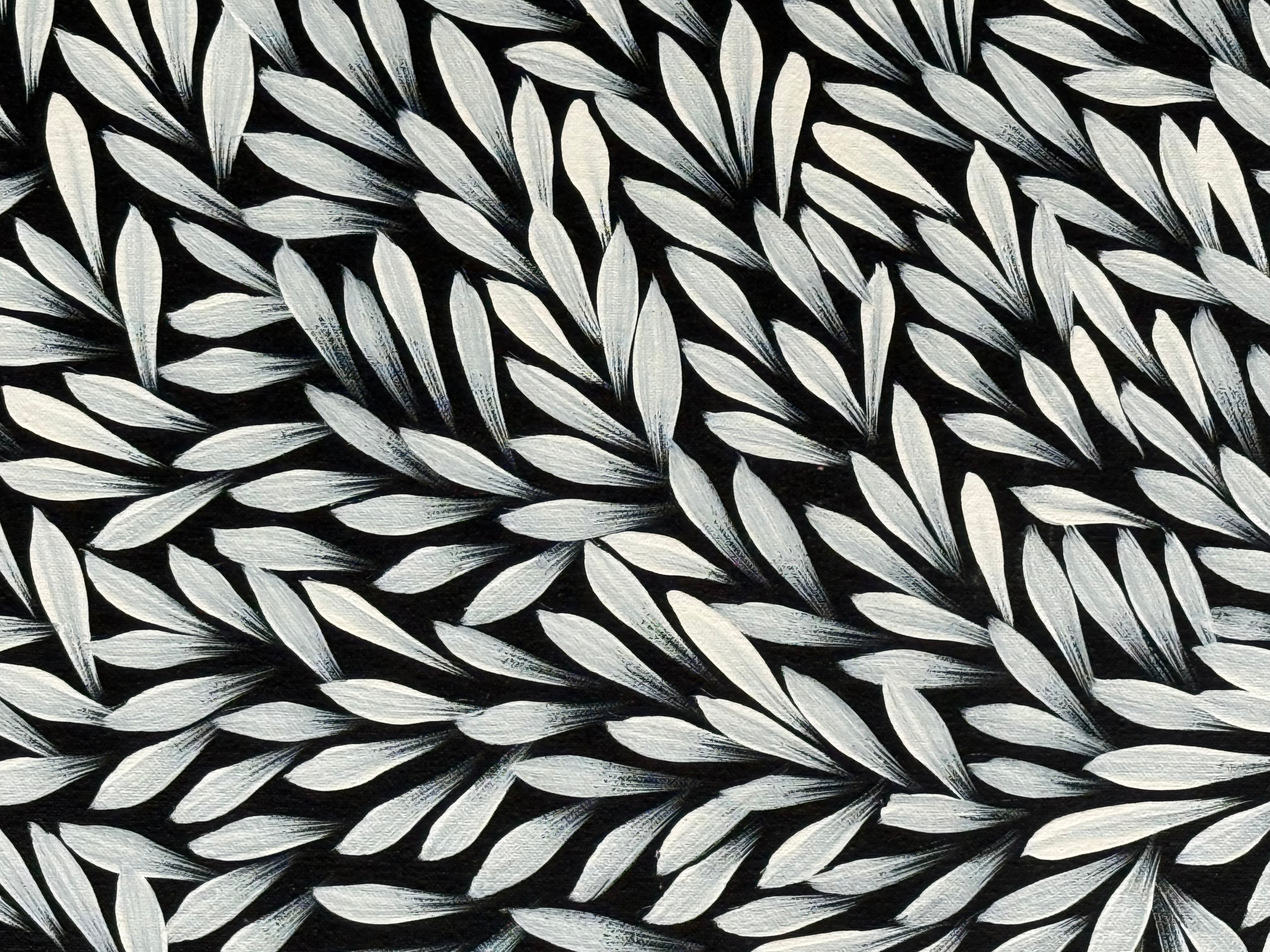 Sharon Numina - Bush Medicine Leaves .14-12