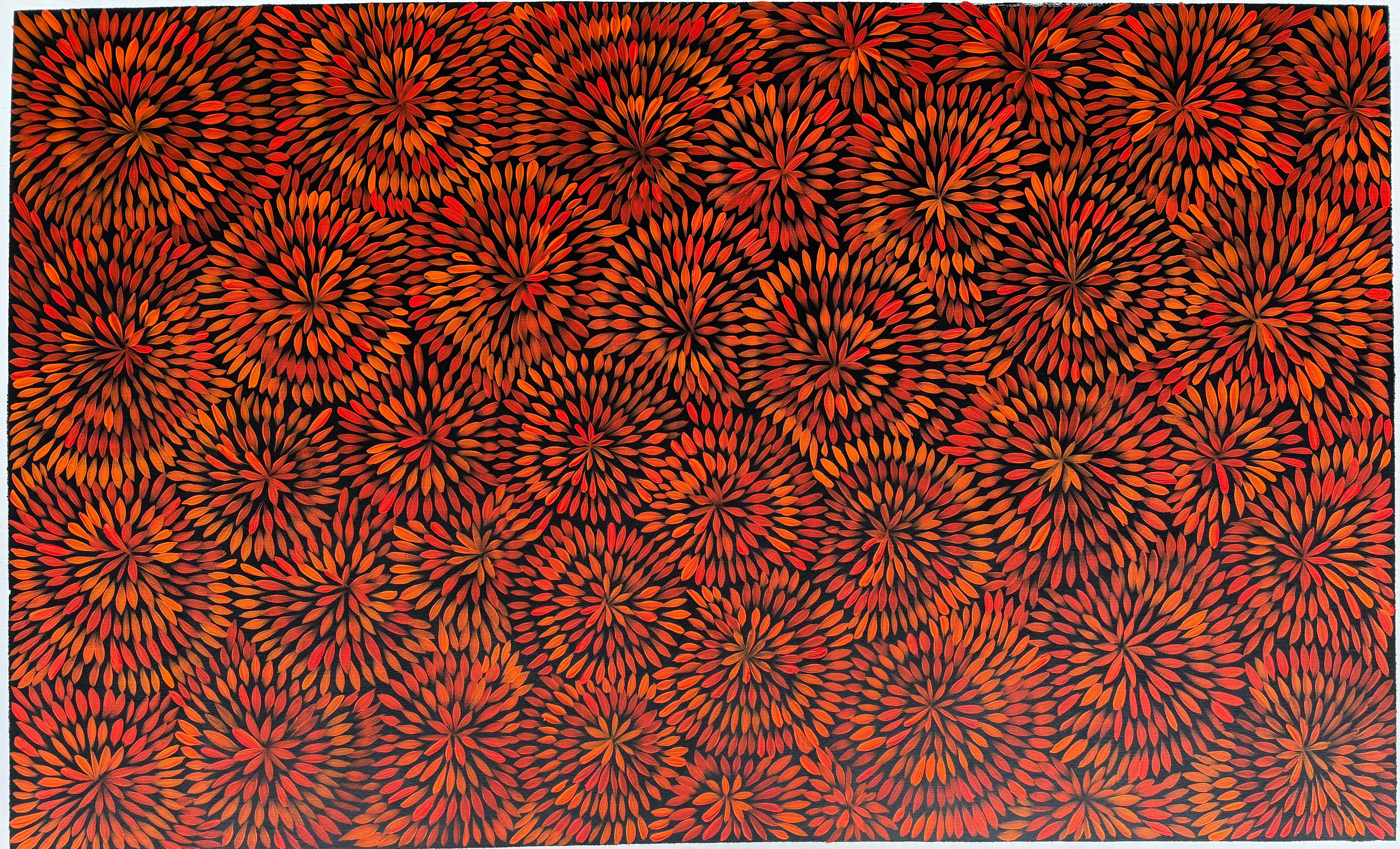 Sharon Numina - Bush Medicine Flowers .68-8