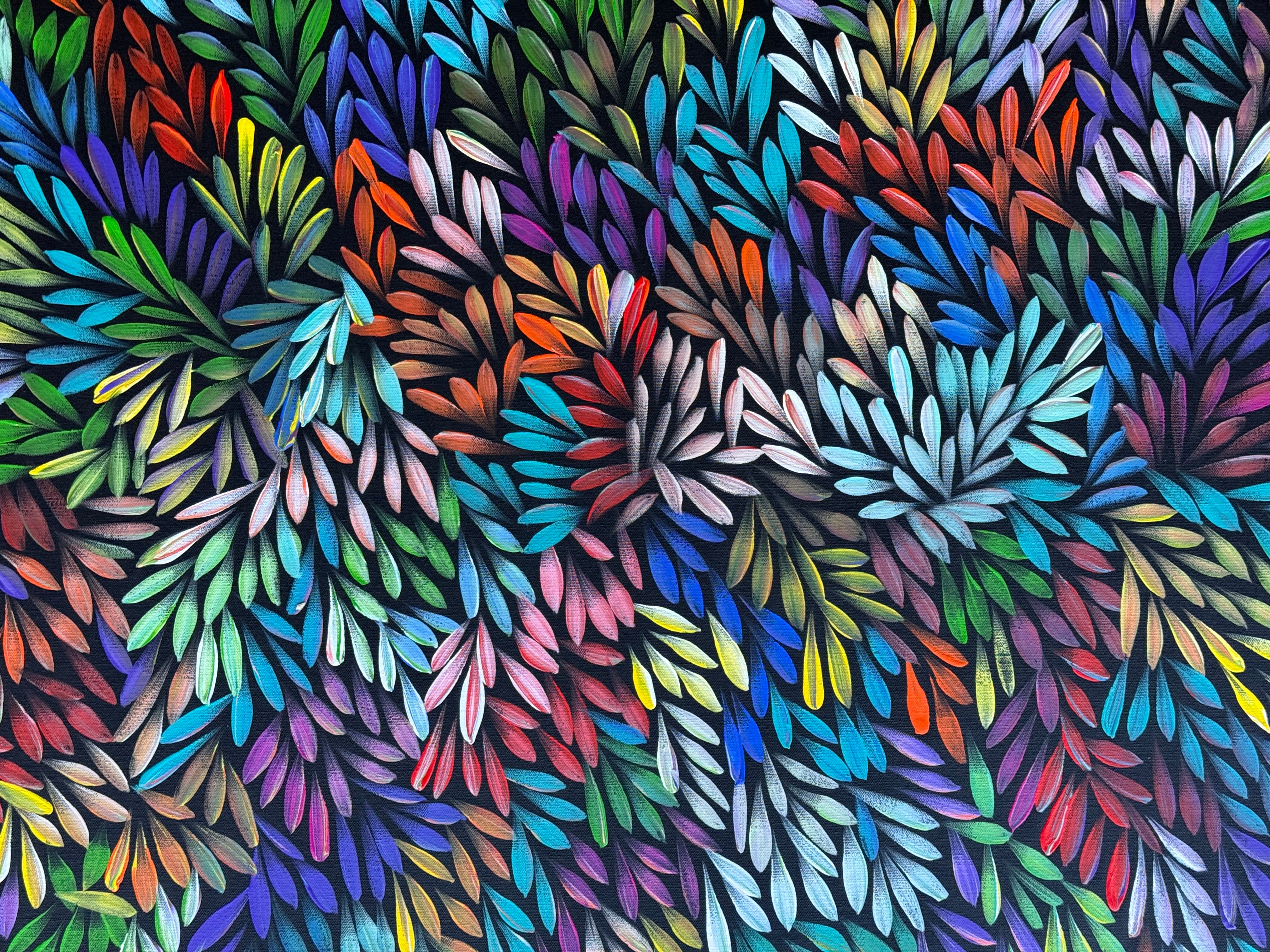 Sharon Numina - Bush Medicine Leaves .48-1