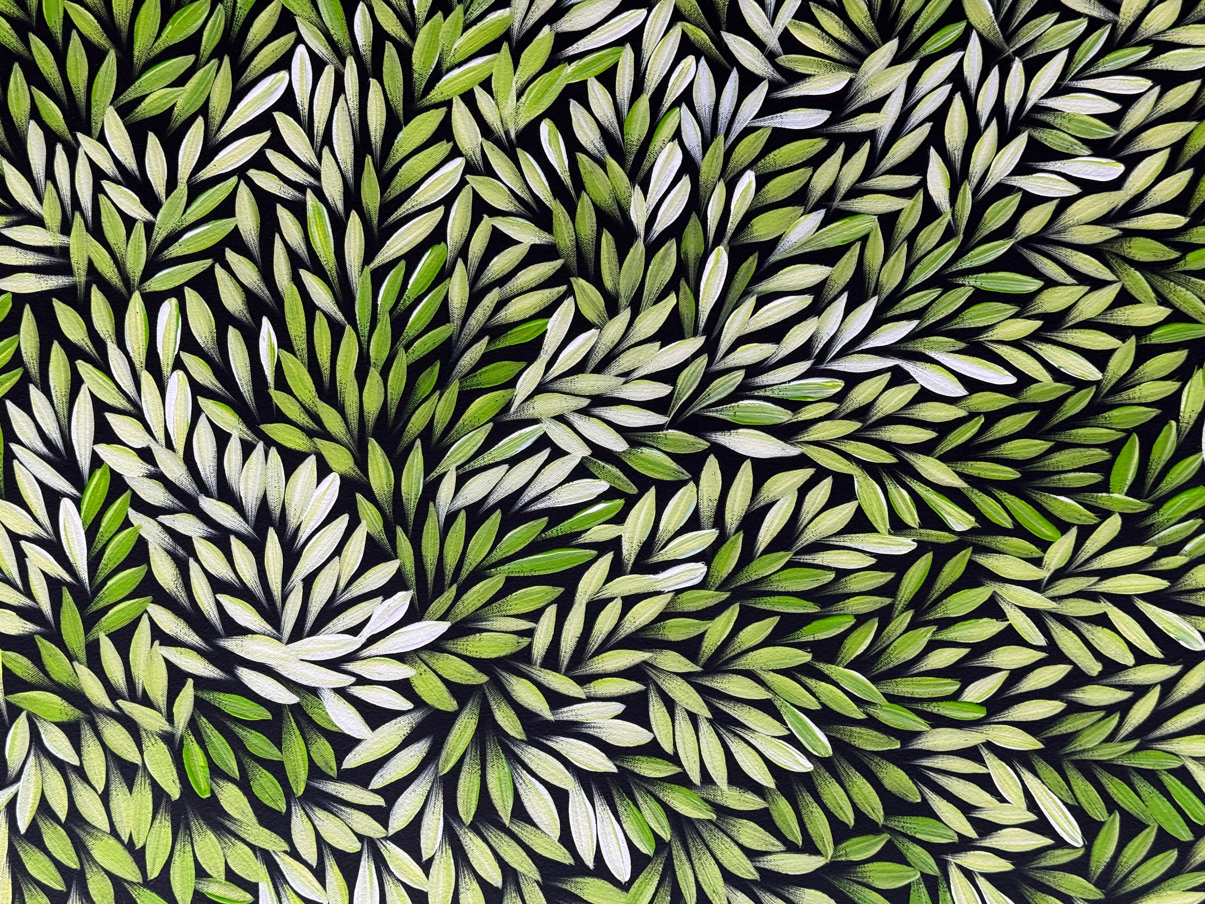 Sharon Numina - Bush Medicine Leaves .33-5