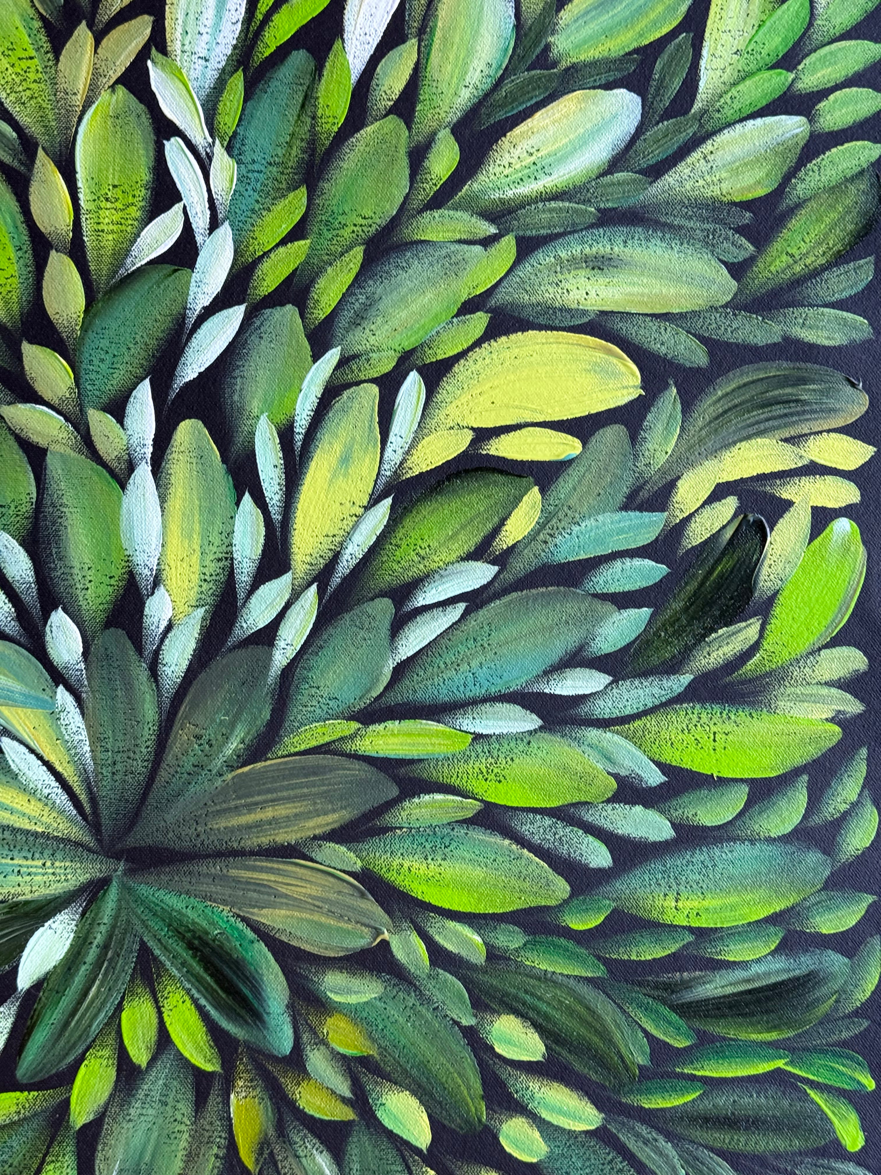 Louise Numina Napananka - Bush Medicine Leaves .22-12