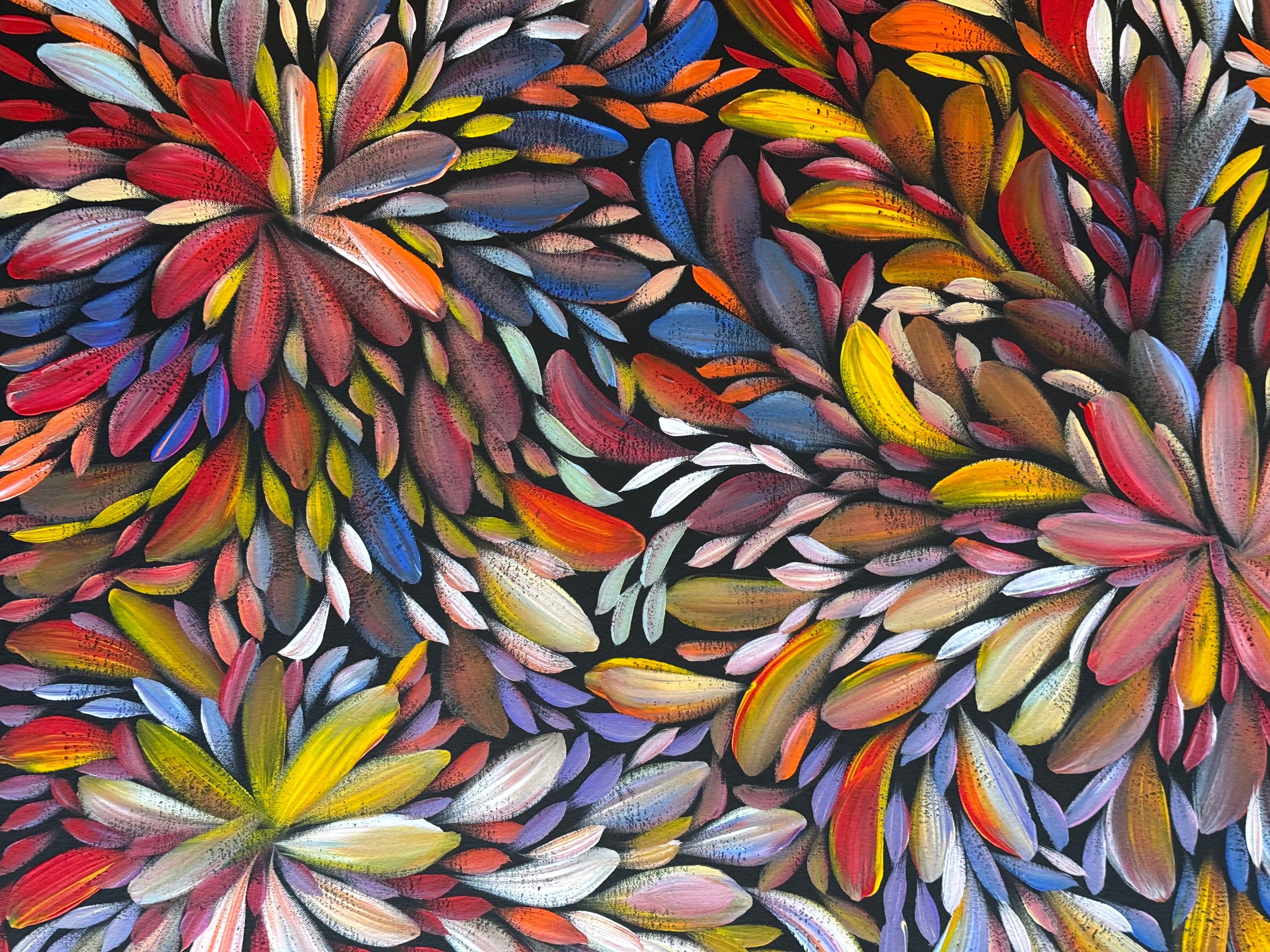 Louise Numina Napananka - Bush Medicine Leaves .29-3