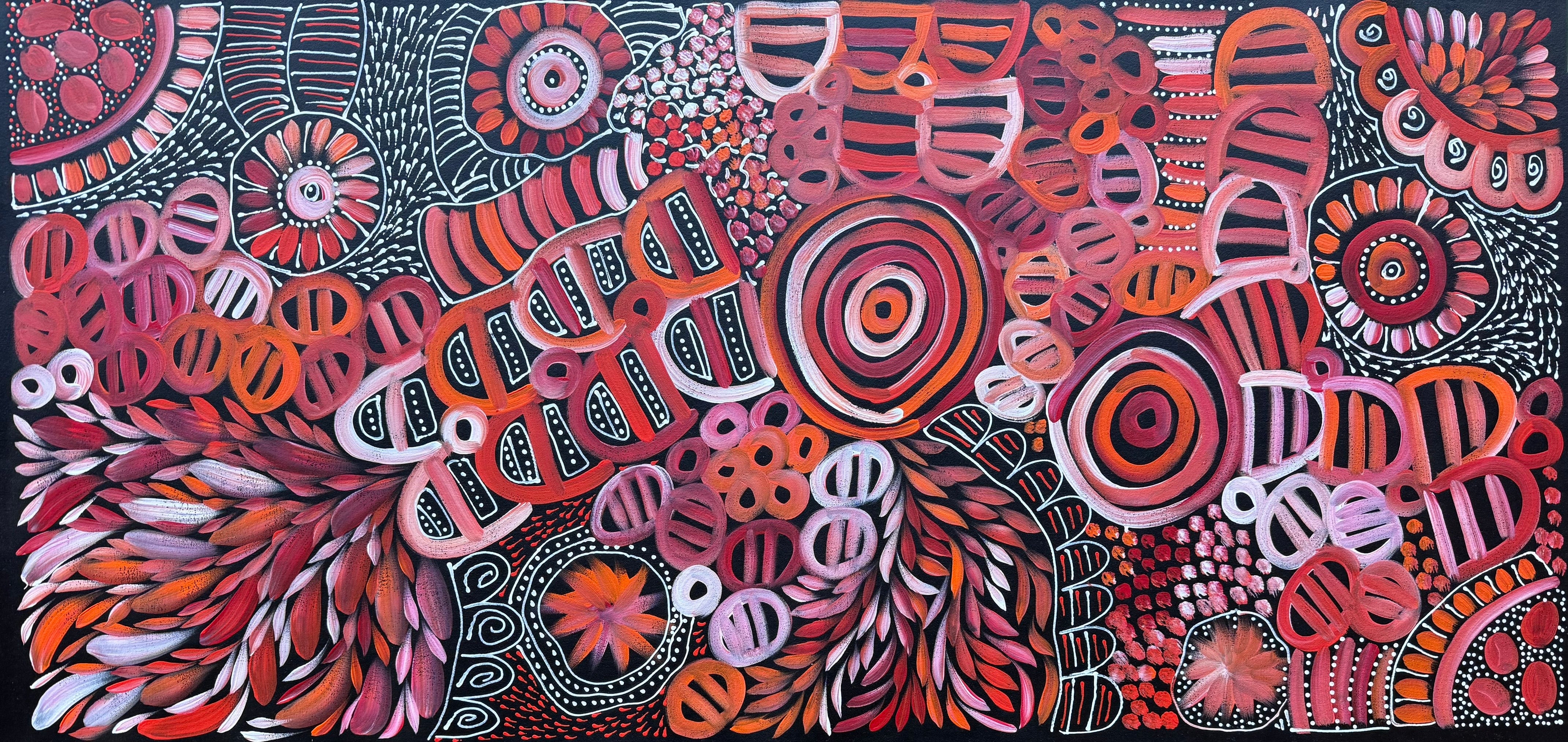 Louise Numina Napananka - Dreamtime Story .41-4