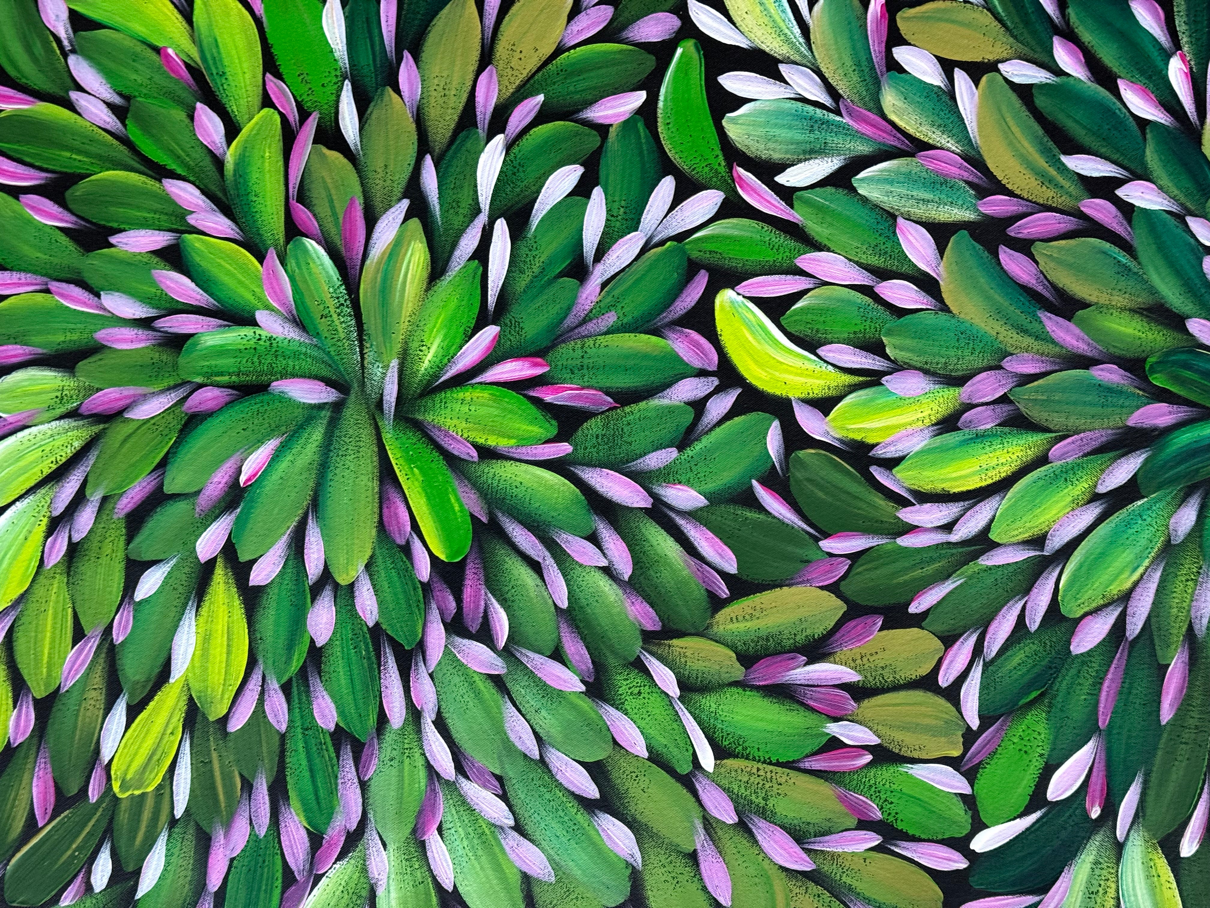 Louise Numina Napananka - Bush Medicine Leaves .16-32