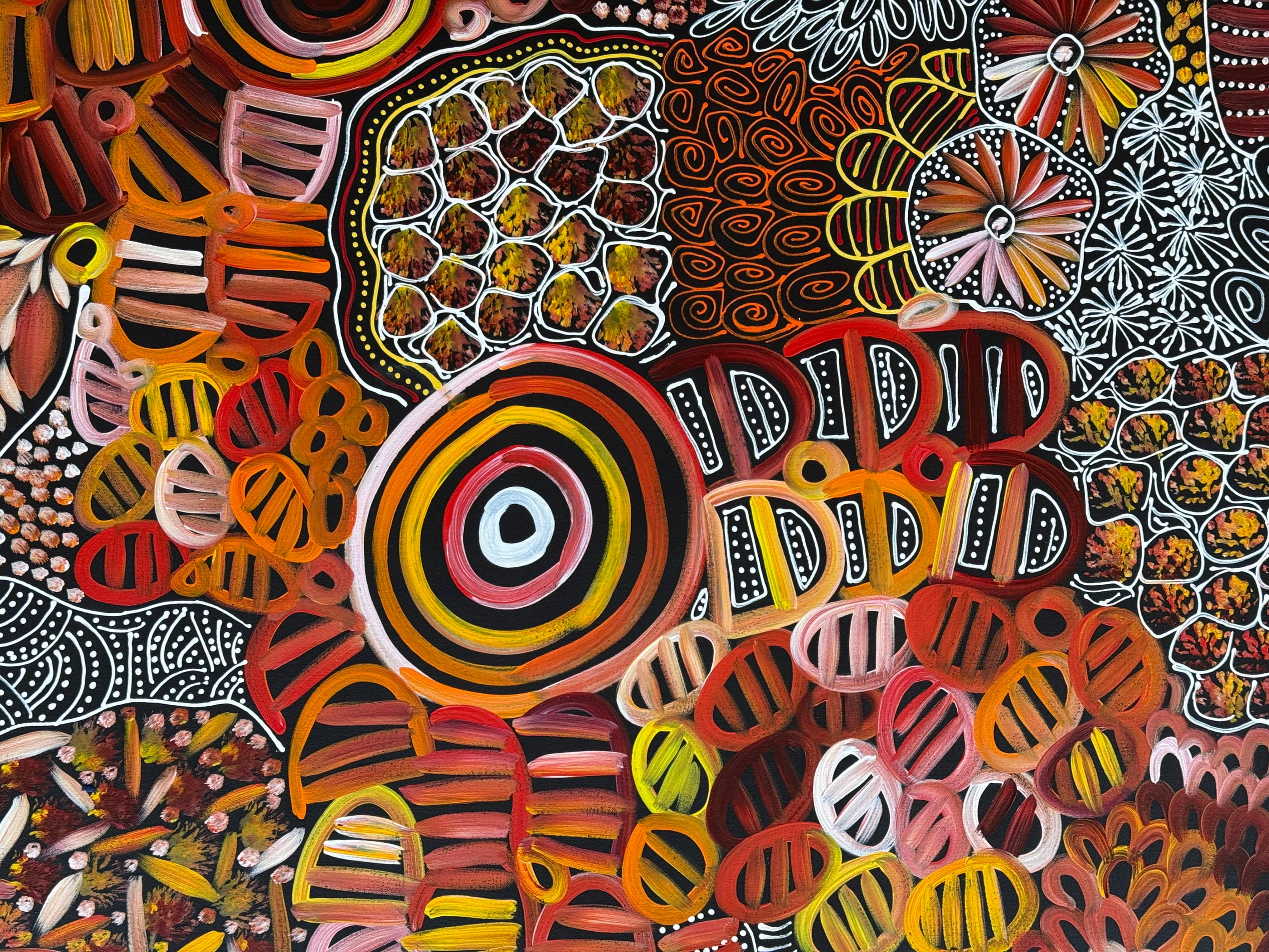 Louise Numina Napananka - Dreamtime - 178x99cm .23-16