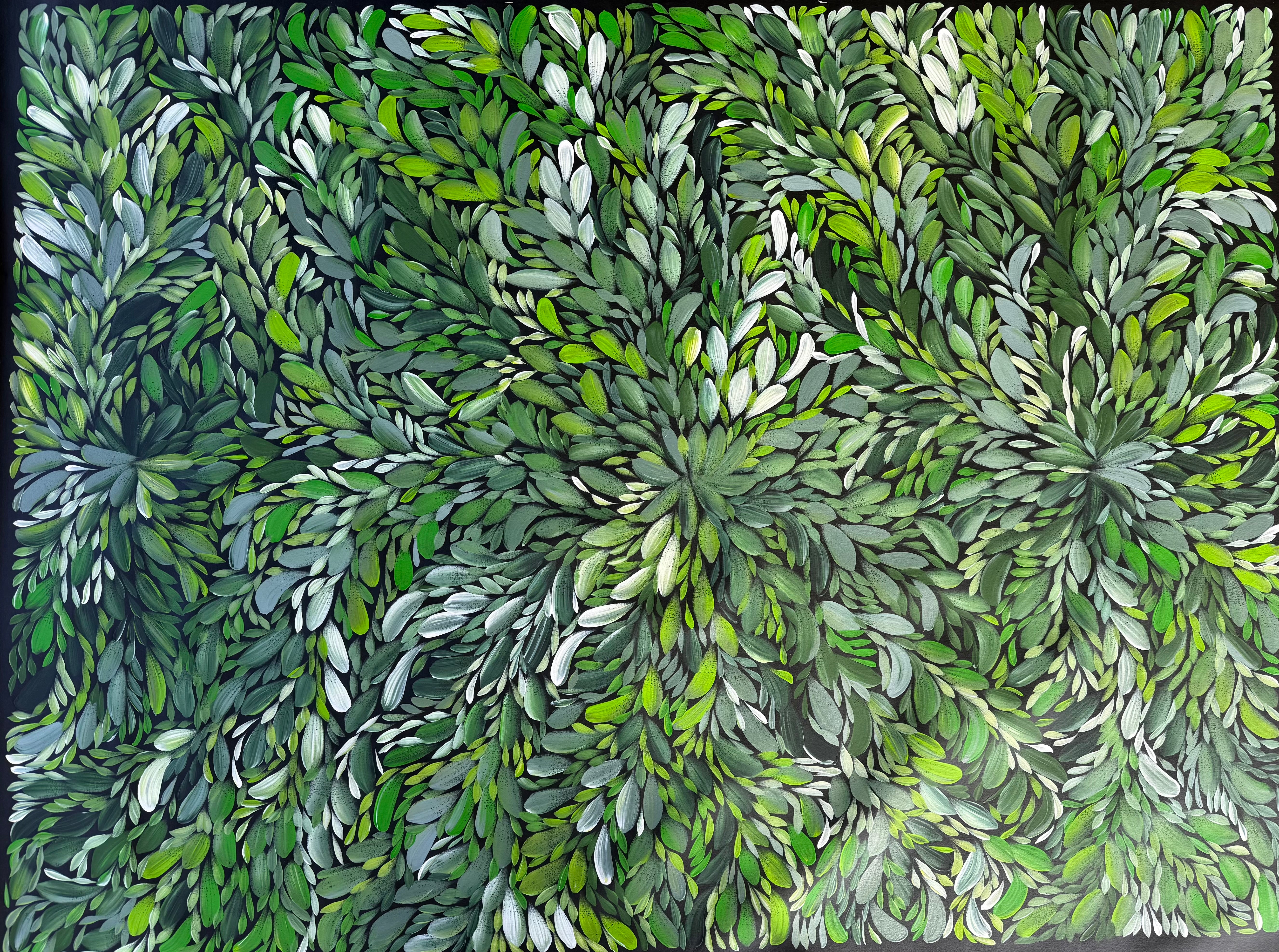 Louise Numina Napananka - Bush Medicine Leaves .18-13