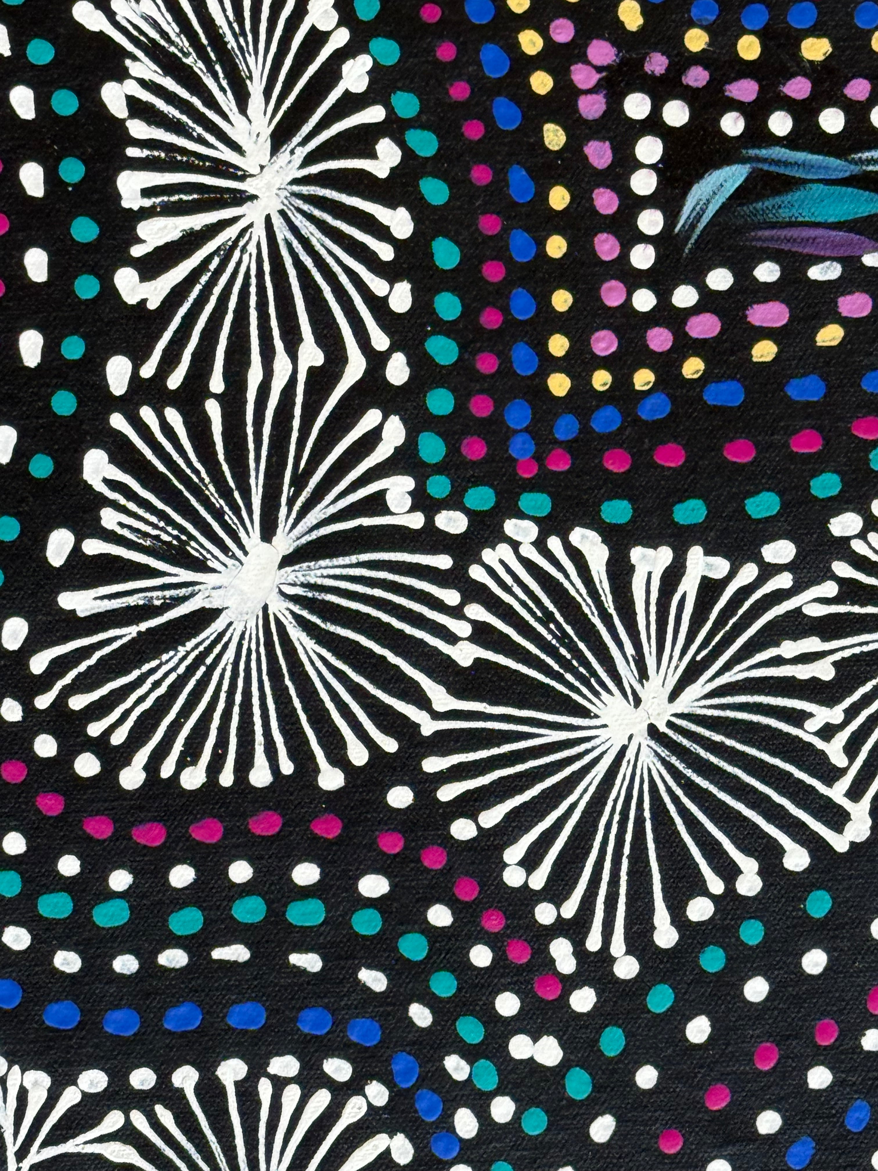 Selina Numina Kamprina - Seeds and Waterholes .92-17