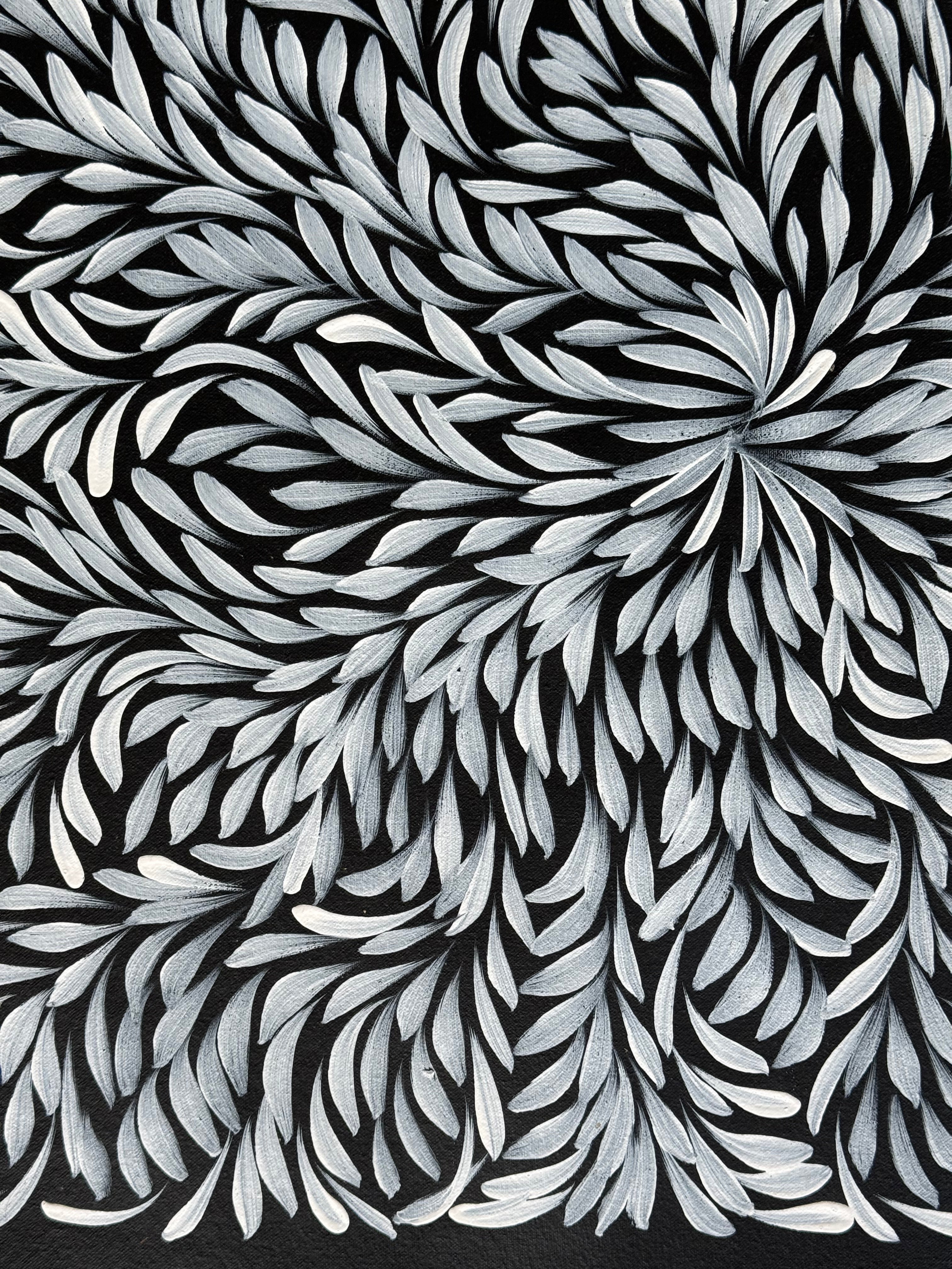 Louise Numina Napananka - Bush Medicine Leaves .16-50