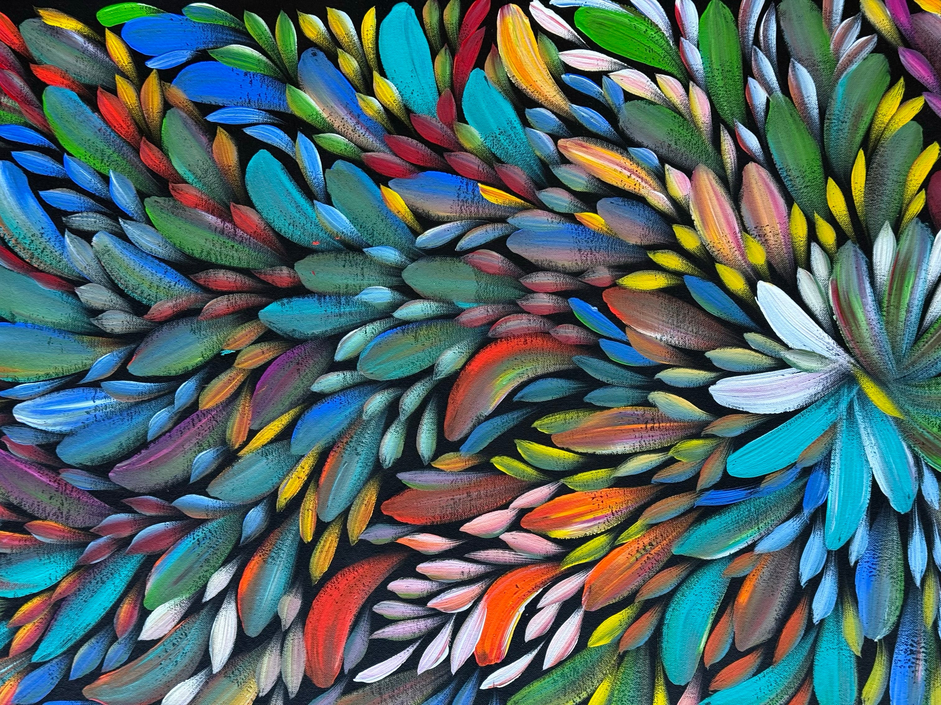 Louise Numina Napananka - Bush Medicine Leaves .42-1