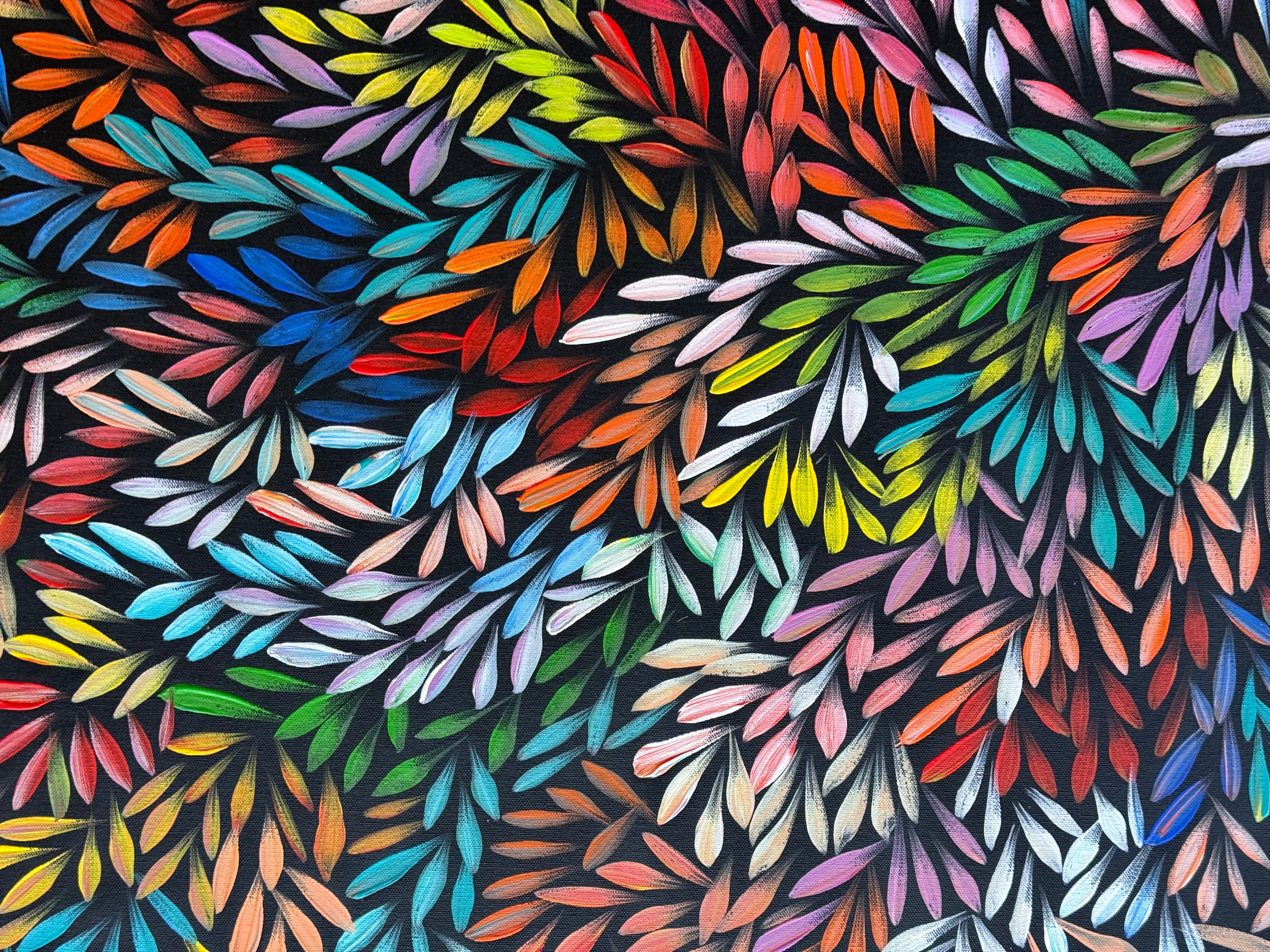 Sharon Numina - Bush Medicine Leaves .01-3