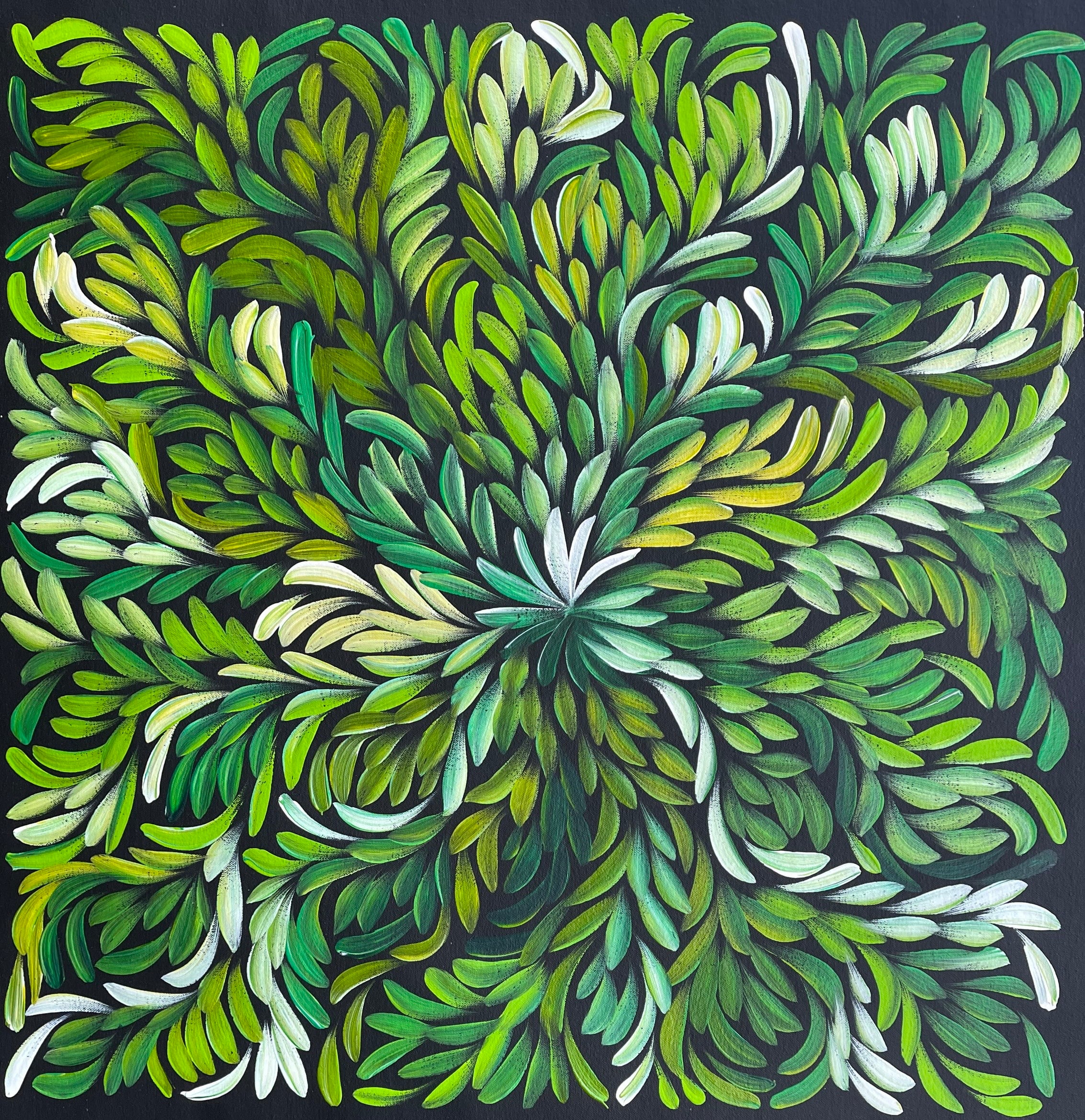 Louise Numina Napananka - Bush Medicine Leaves - 59x60cm .71-18