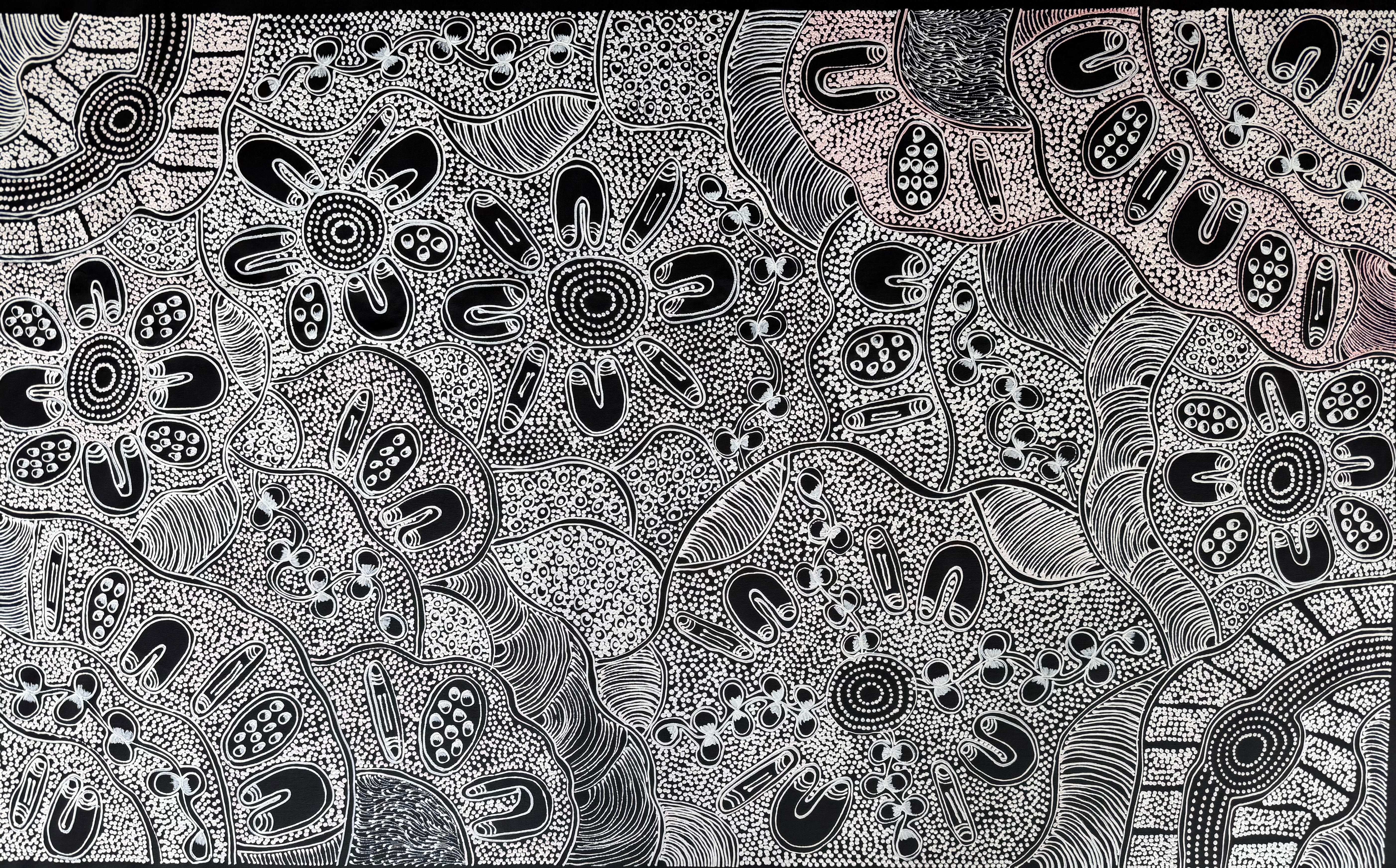 Lanita Numina - Women Collect Bushplums .80-4