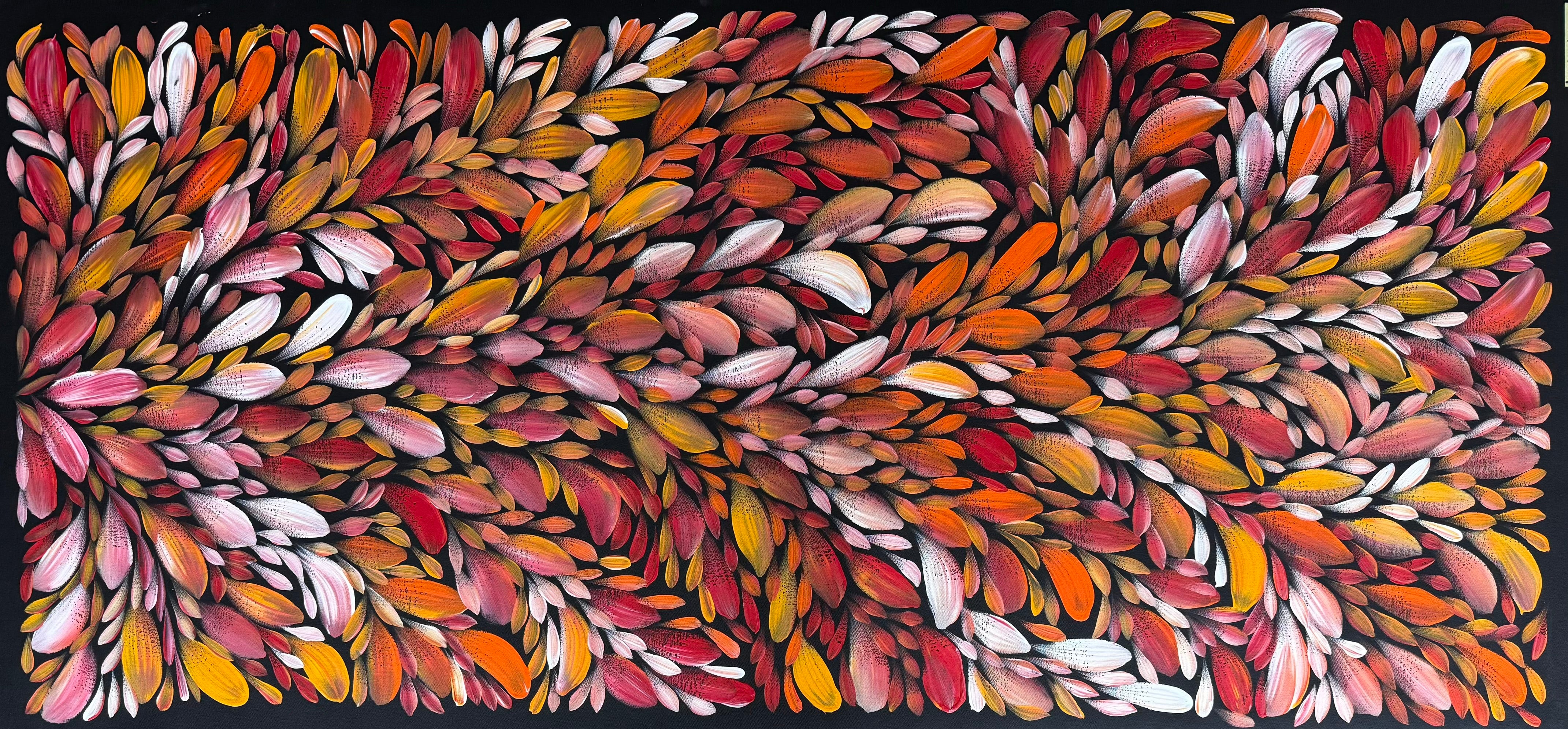 Louise Numina Napananka - Bush Medicine Leaves .57-41