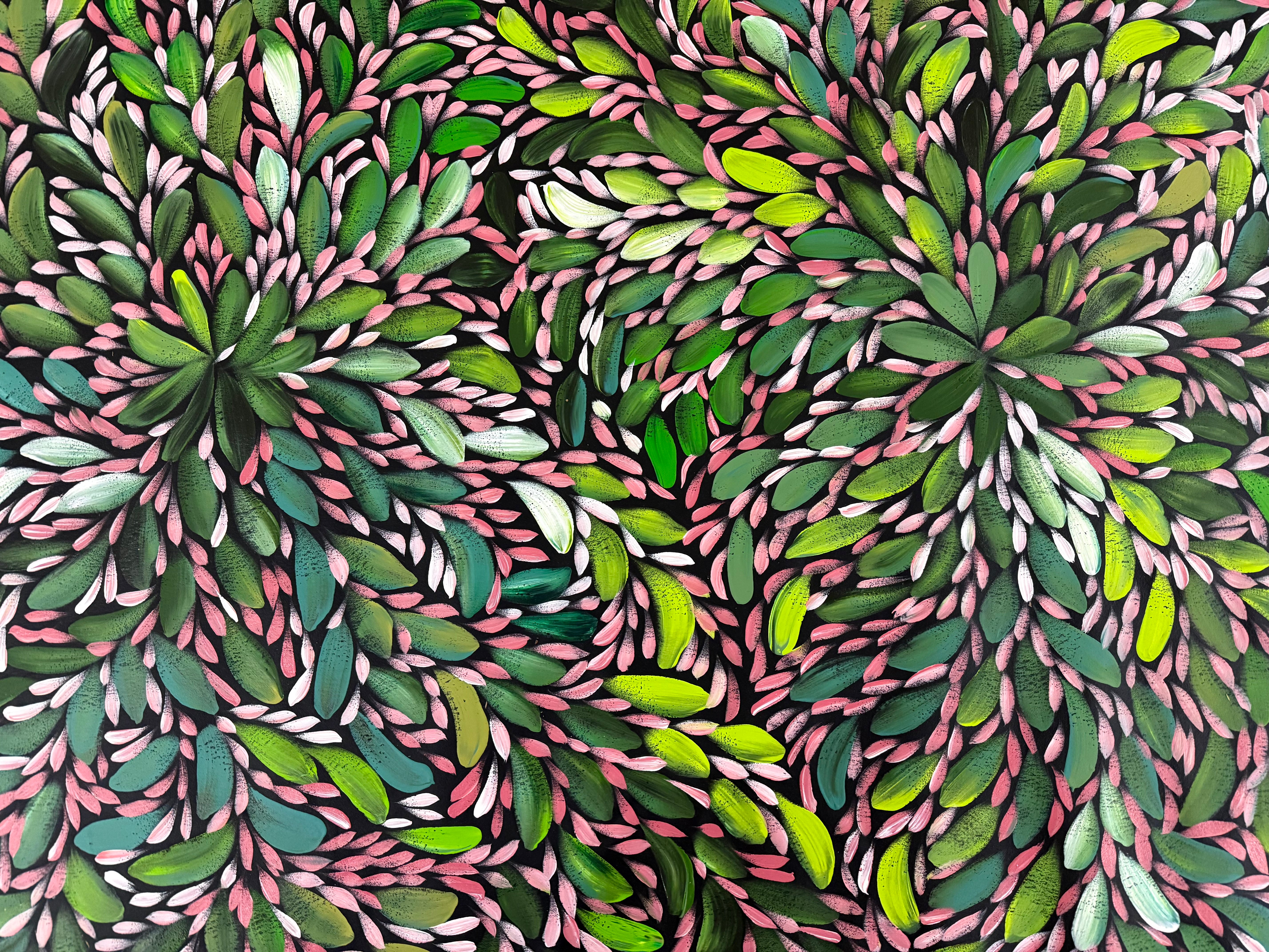 Louise Numina Napananka - Bush Medicine Leaves .22-10