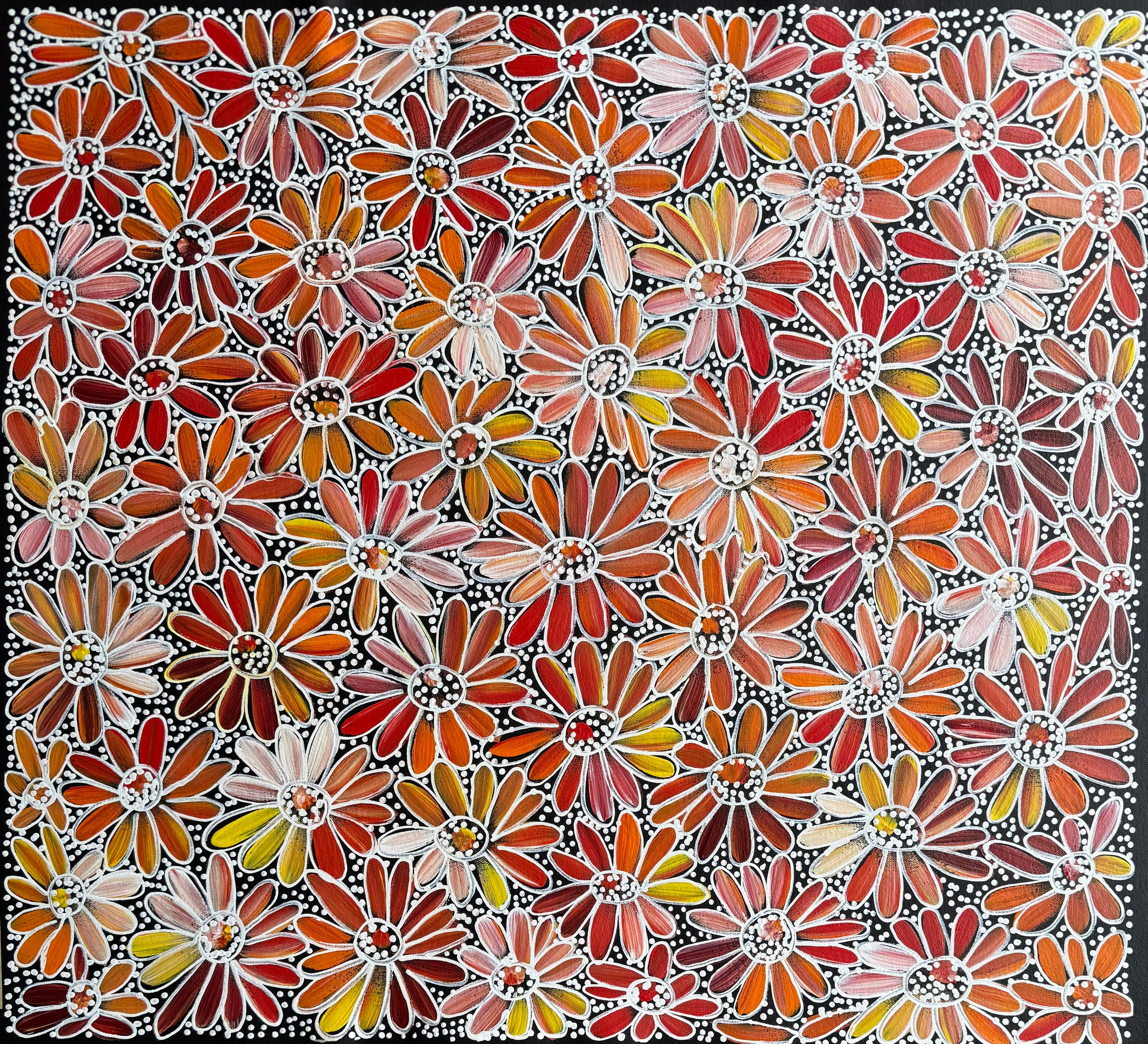 Louise Numina Napananka - Bush Medicine Flowers - 60x60cm .24-60