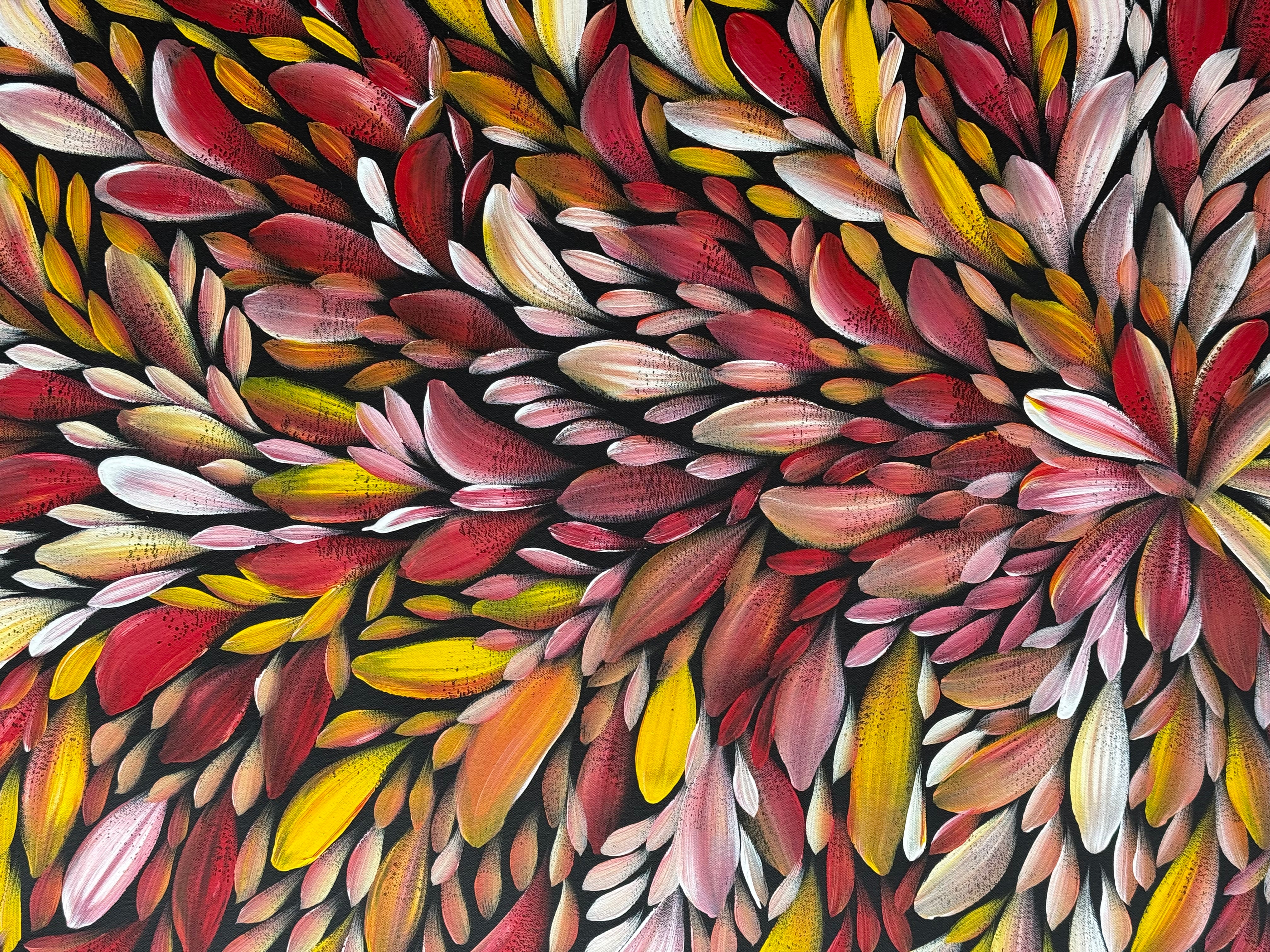 Louise Numina Napananka - Bush Medicine Leaves .57-63