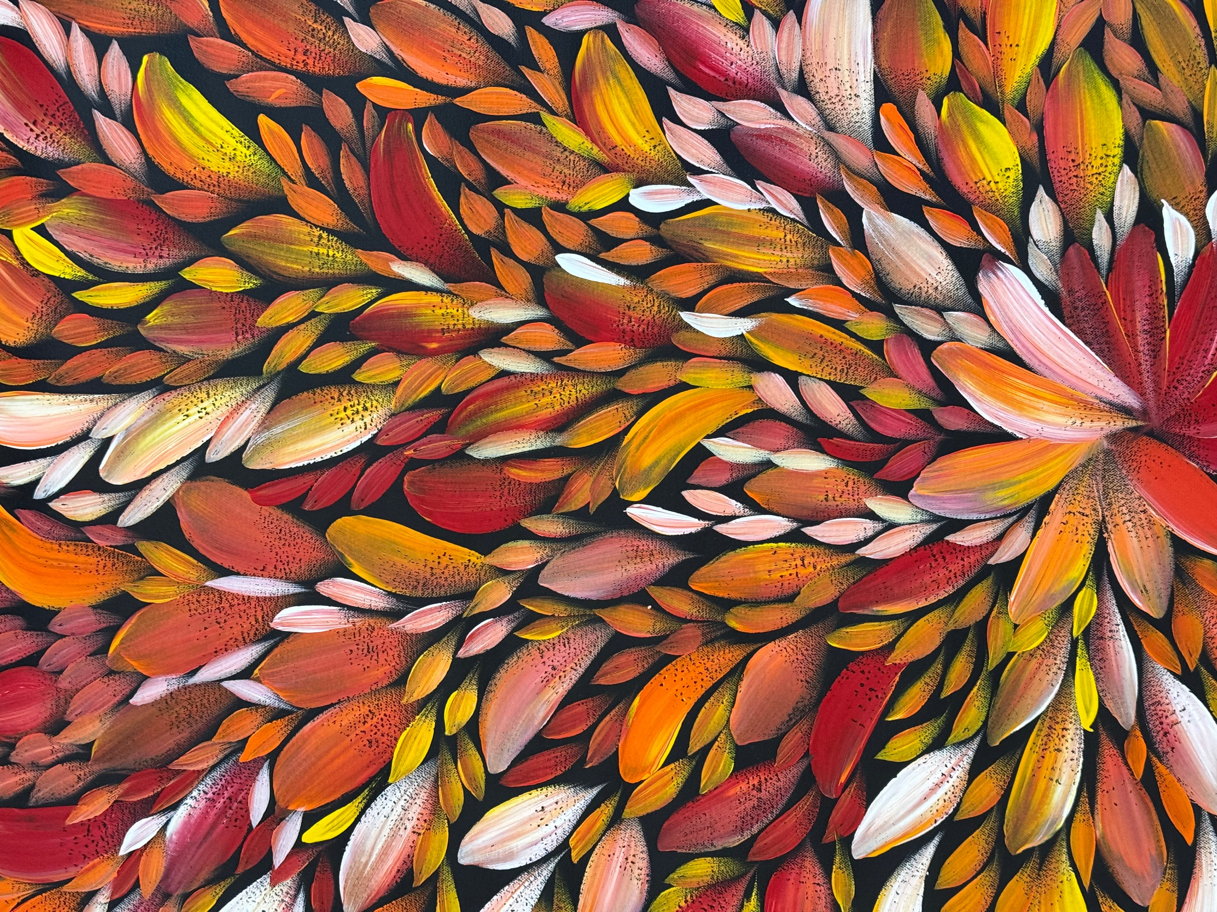 Louise Numina Napananka - Bush Medicine Leaves .21-13