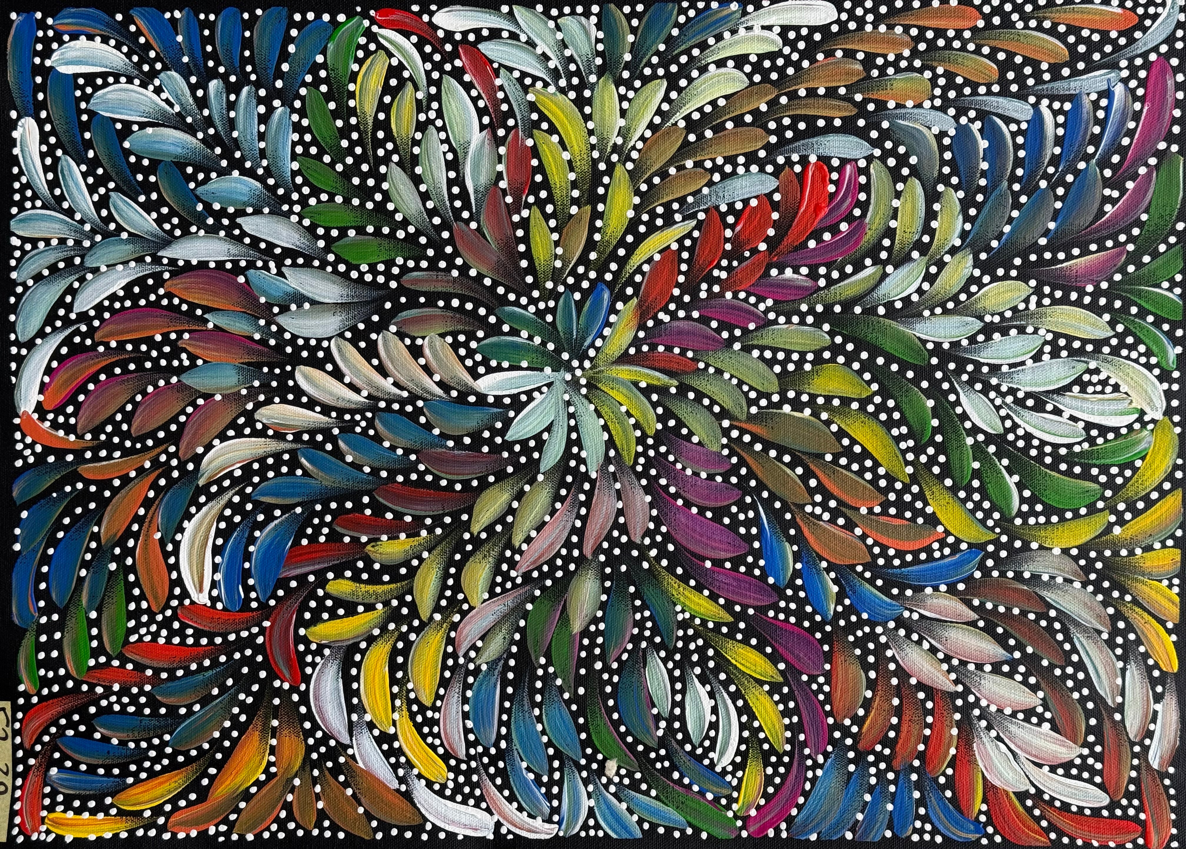 Caroline Numina - Bush Medicine Leaves with Seeds .91-2