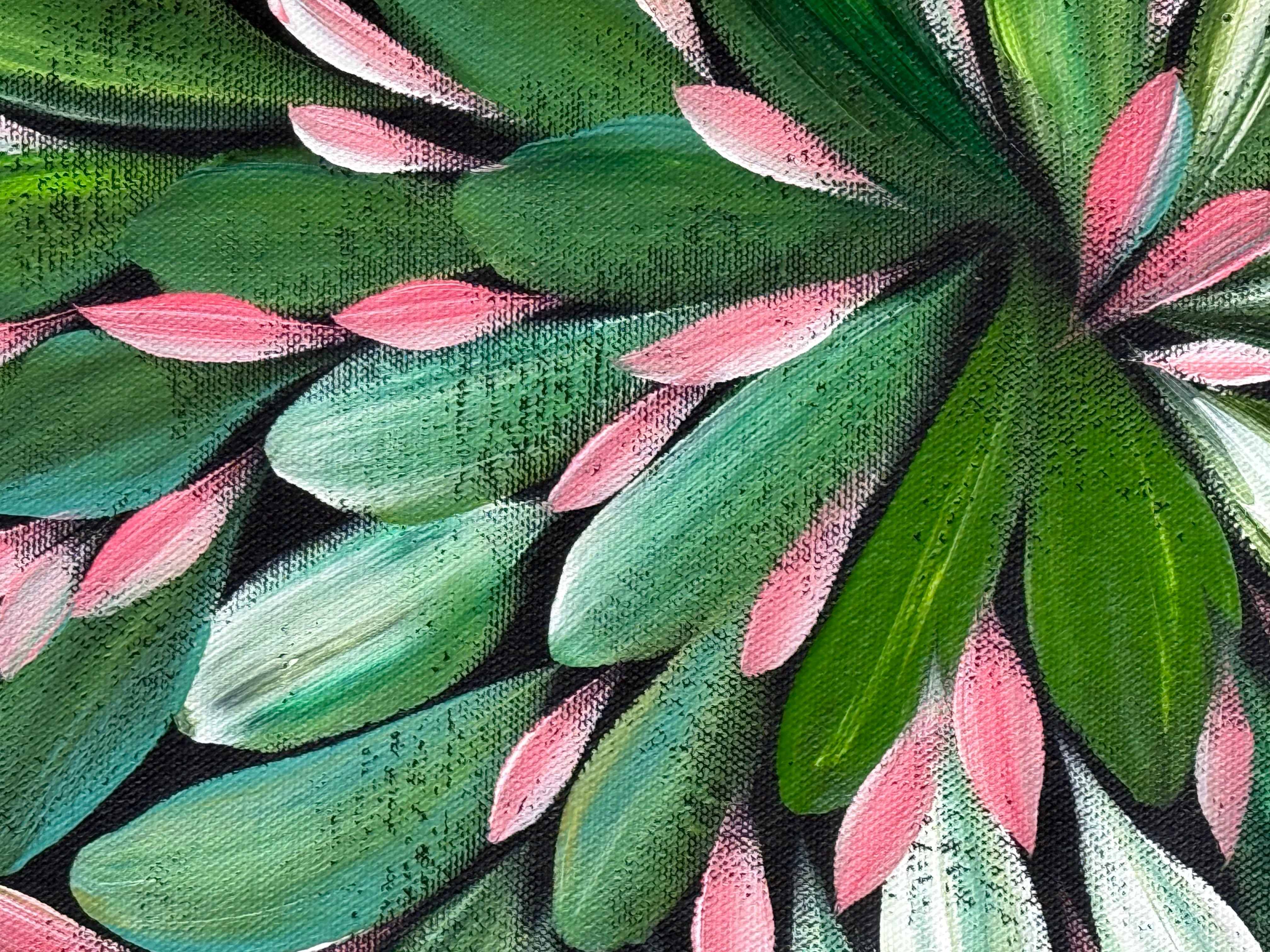 Louise Numina Napananka - Bush Medicine Leaves  .22-1