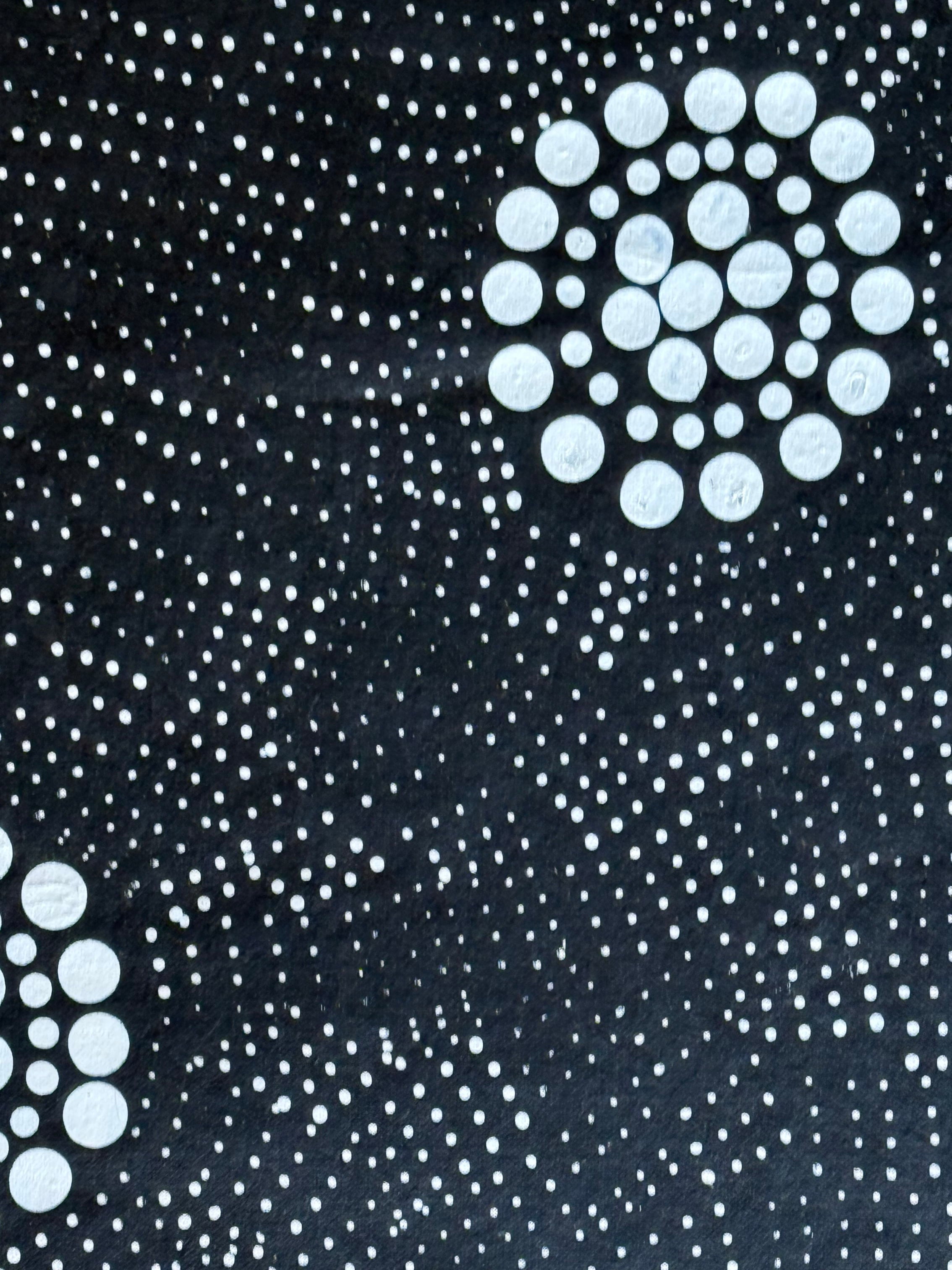 Susie Pollard - Water Hole .64-1