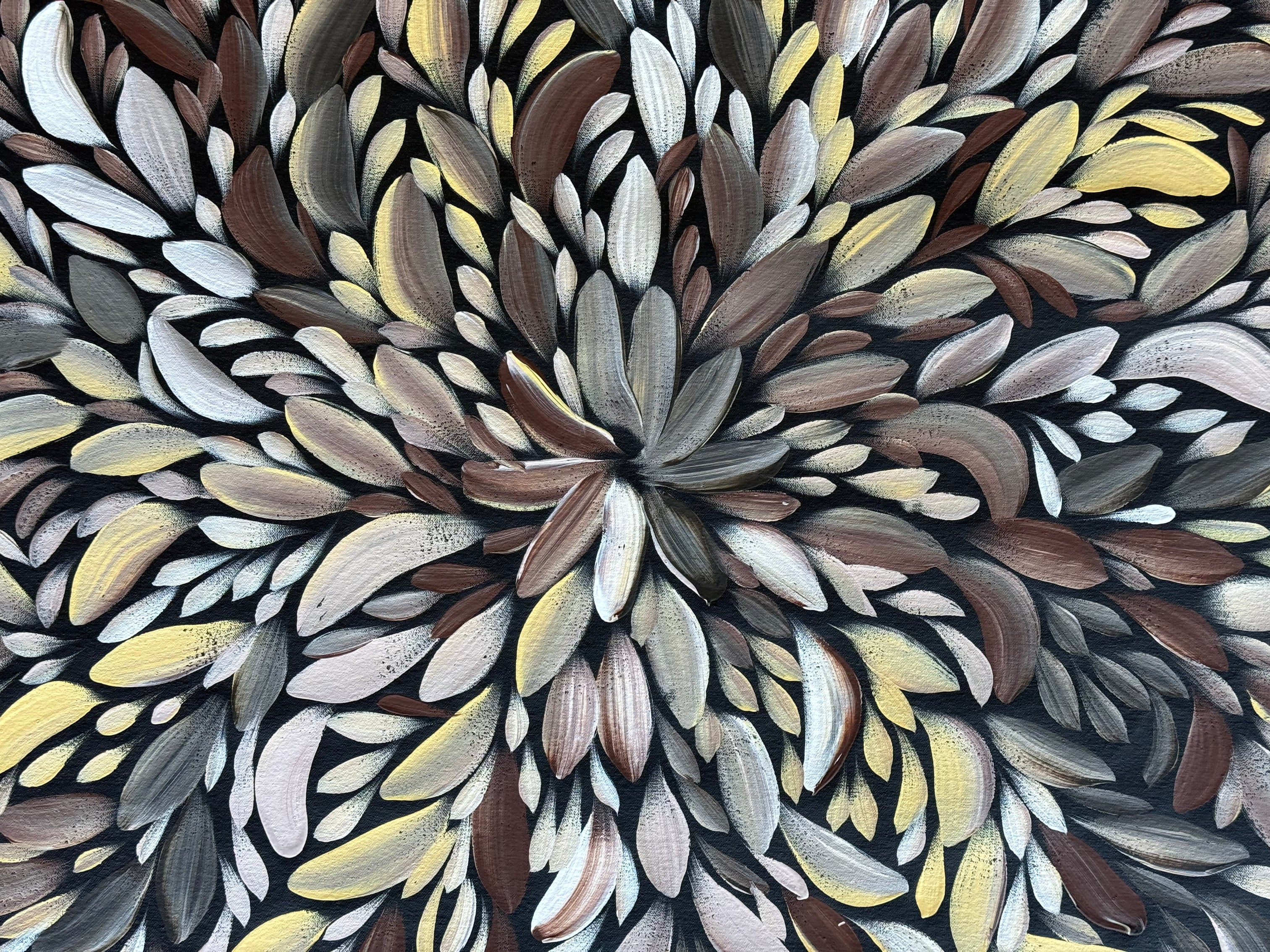 Louise Numina Napananka - Bush Medicine Leaves .80-4
