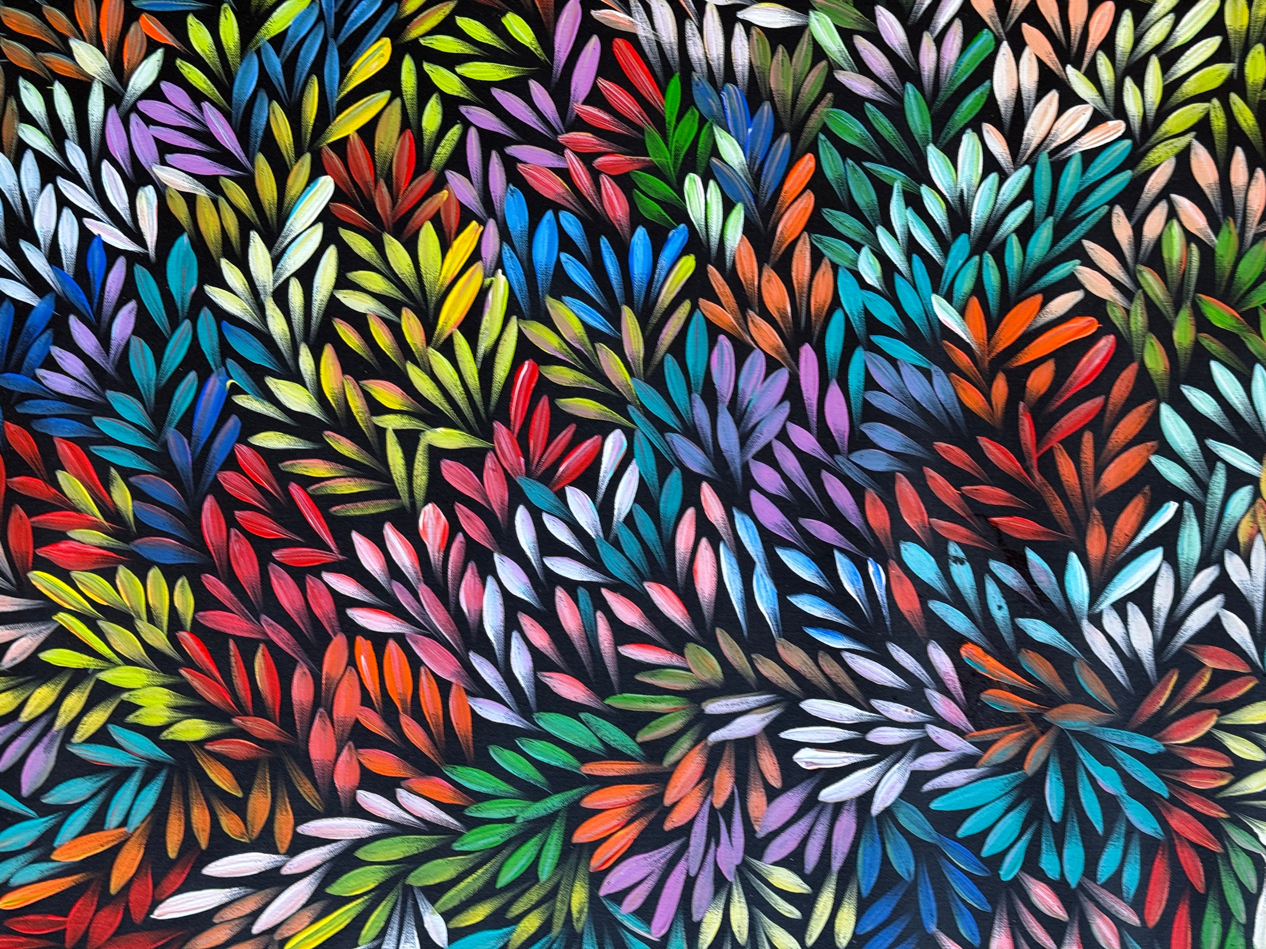 Sharon Numina - Bush Medicine Leaves .01-3