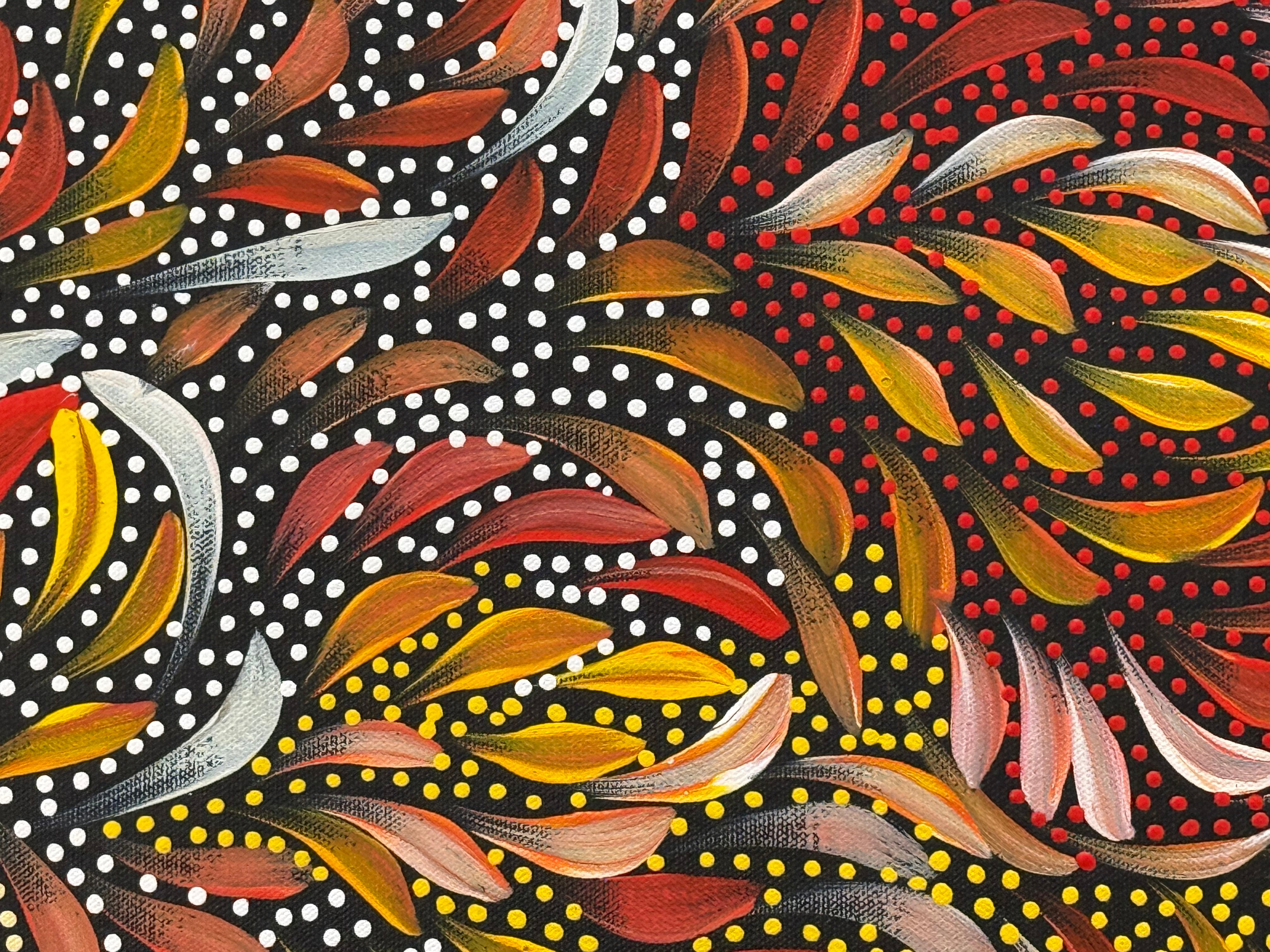 Caroline Numina - Bush Medicine Leaves and Seeds .04-23
