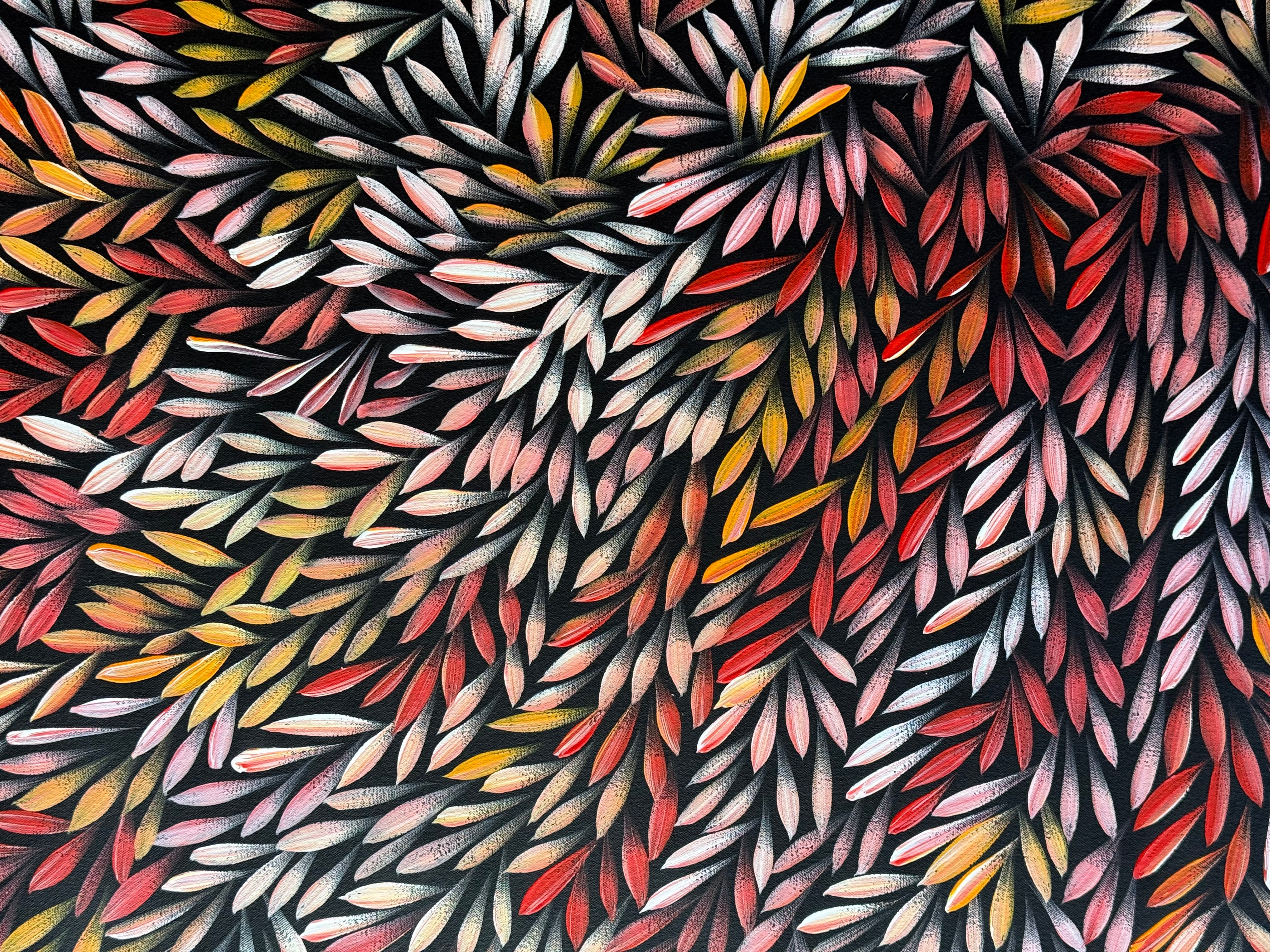Sharon Numina - Bush Medicine Leaves .14-3