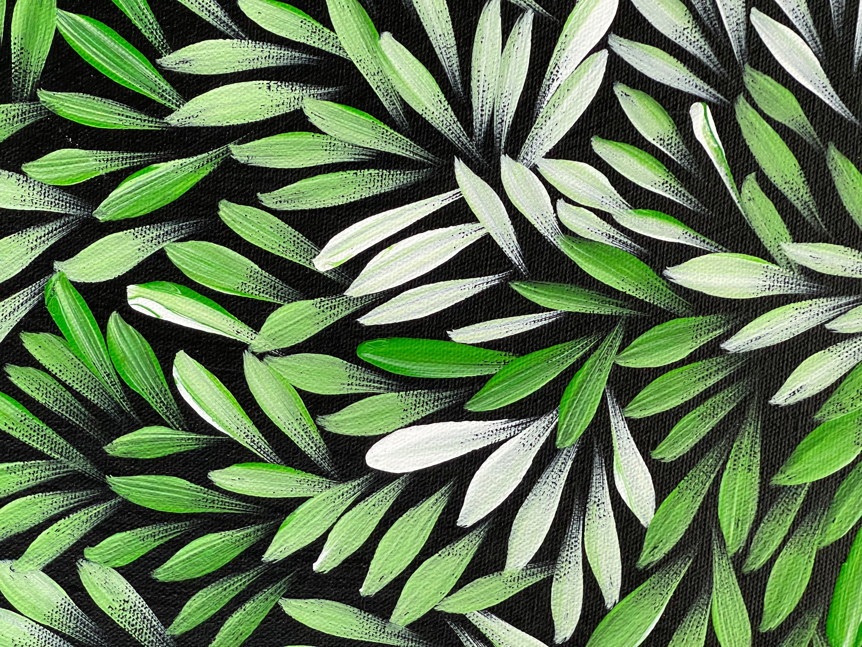 Sharon Numina - Bush Medicine Leaves - 38x53cm .80-9