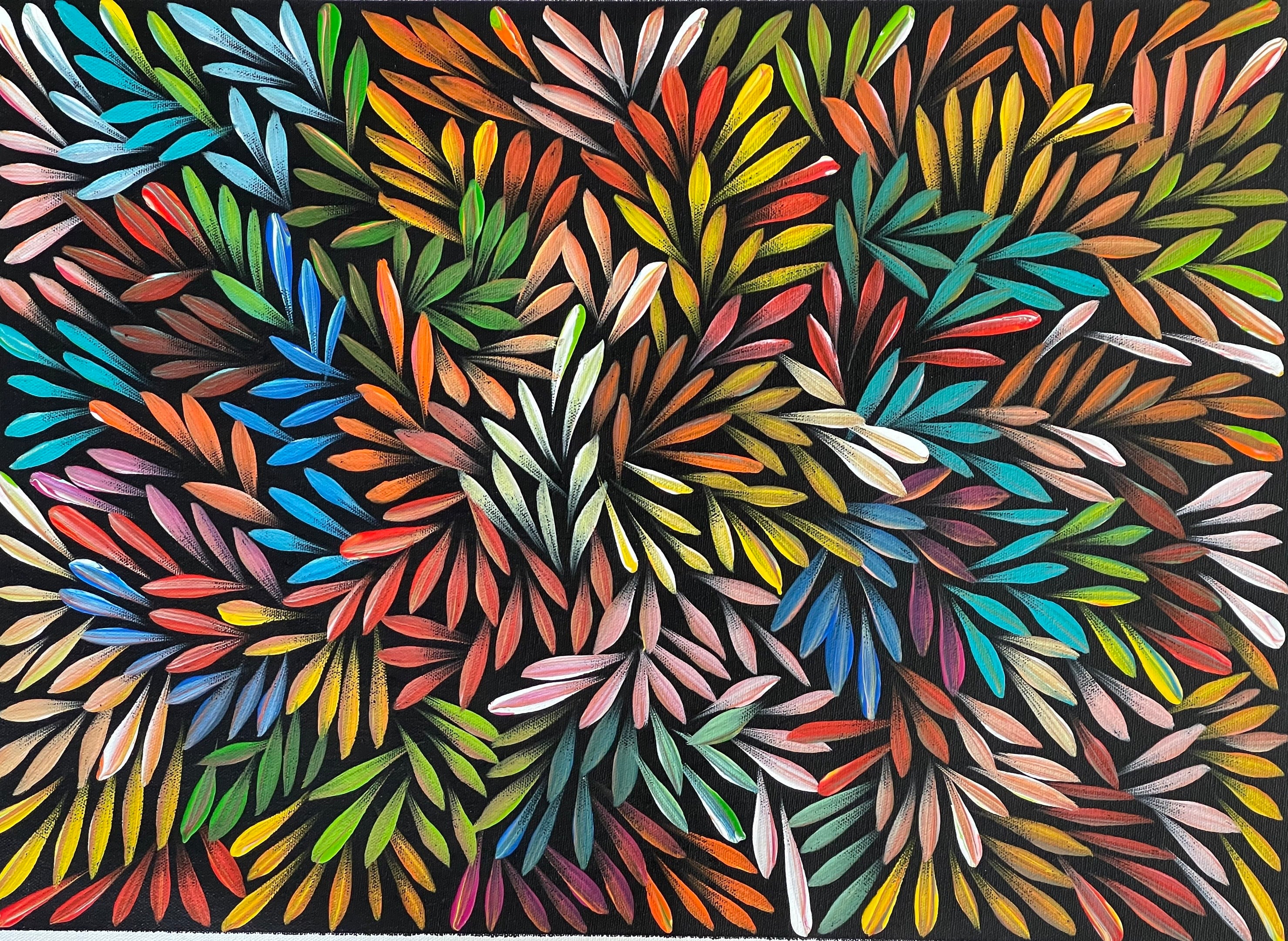 Sharon Numina - Bush Medicine Leaves - 38x53cm .80-15