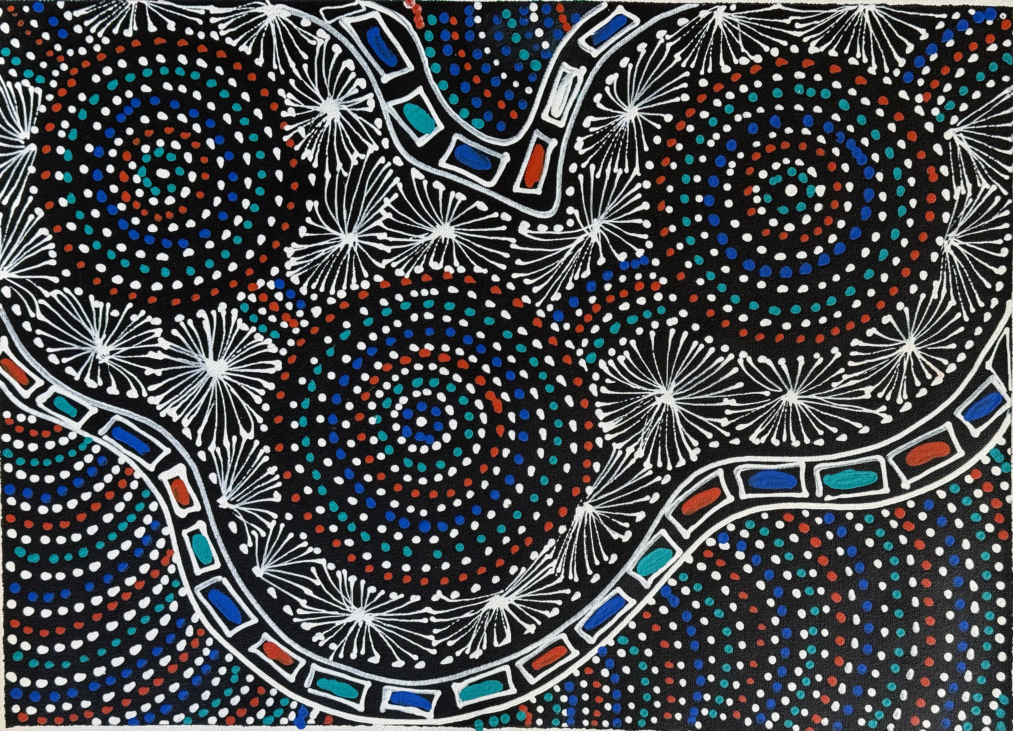 Selina Numina Kamprina - Seeds and Waterholes .05-9