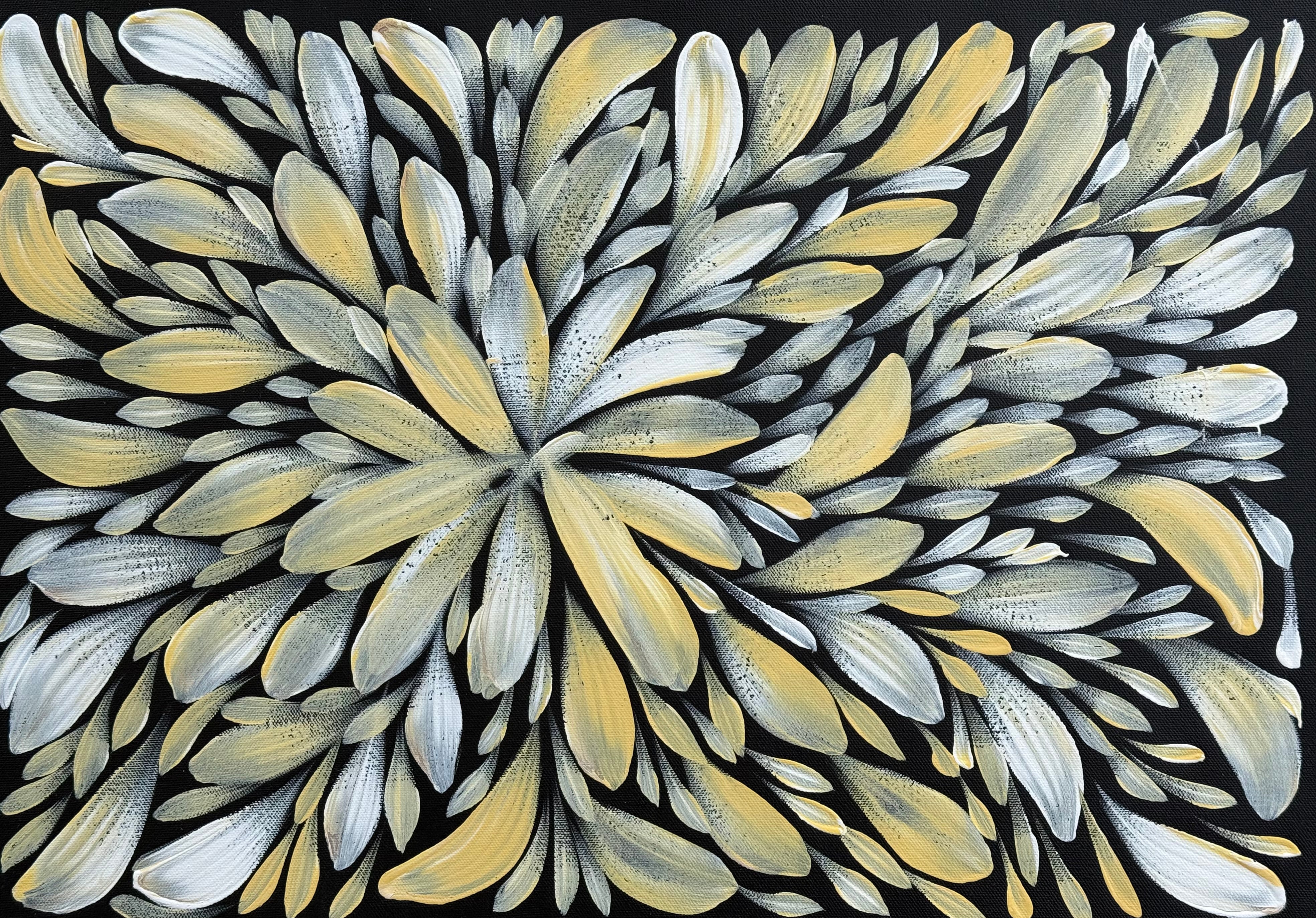 Louise Numina Napananka - Bush Medicine Leaves .60-40