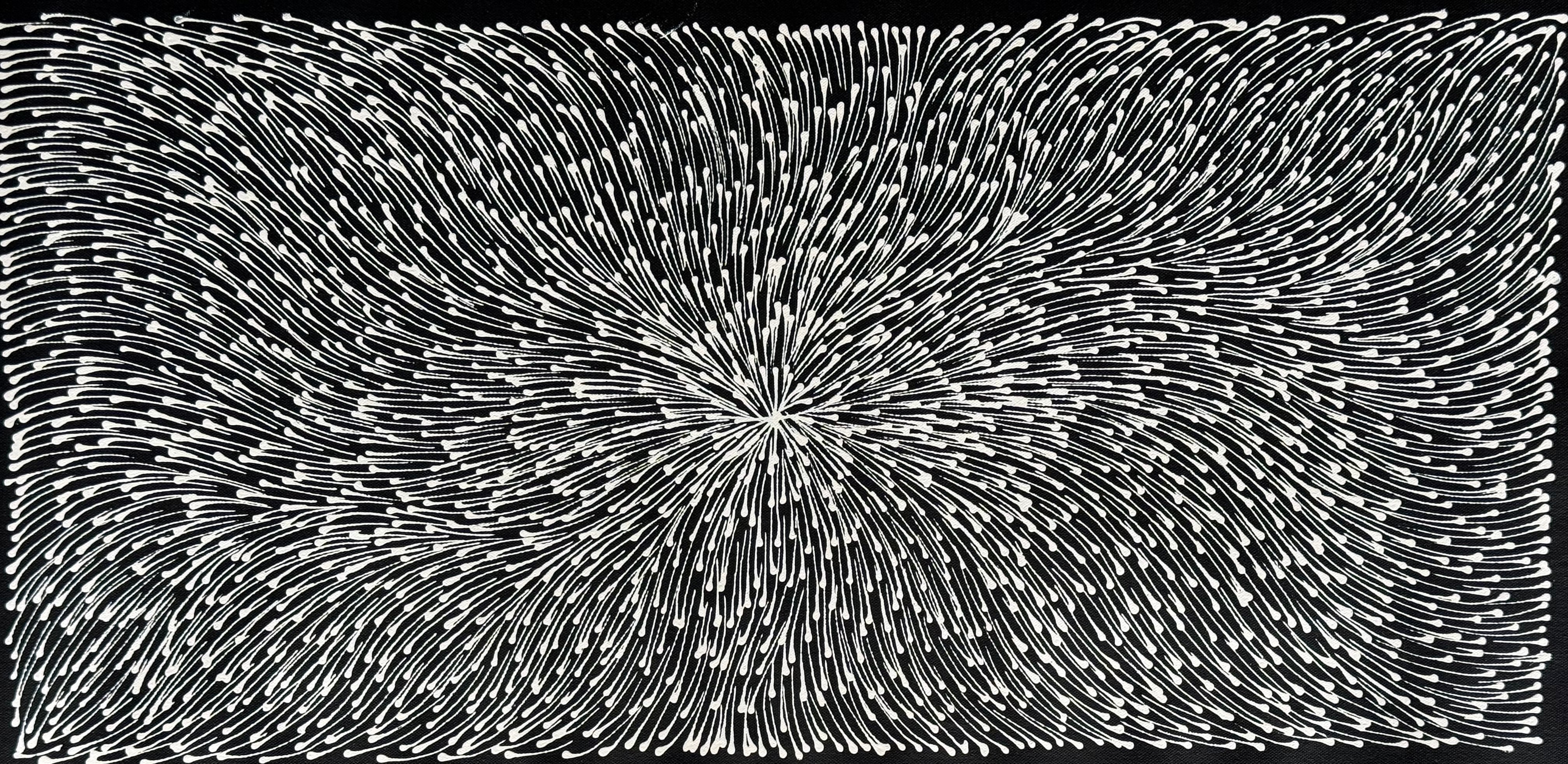 Sharon Numina - Bush Medicine Seeds .14-8