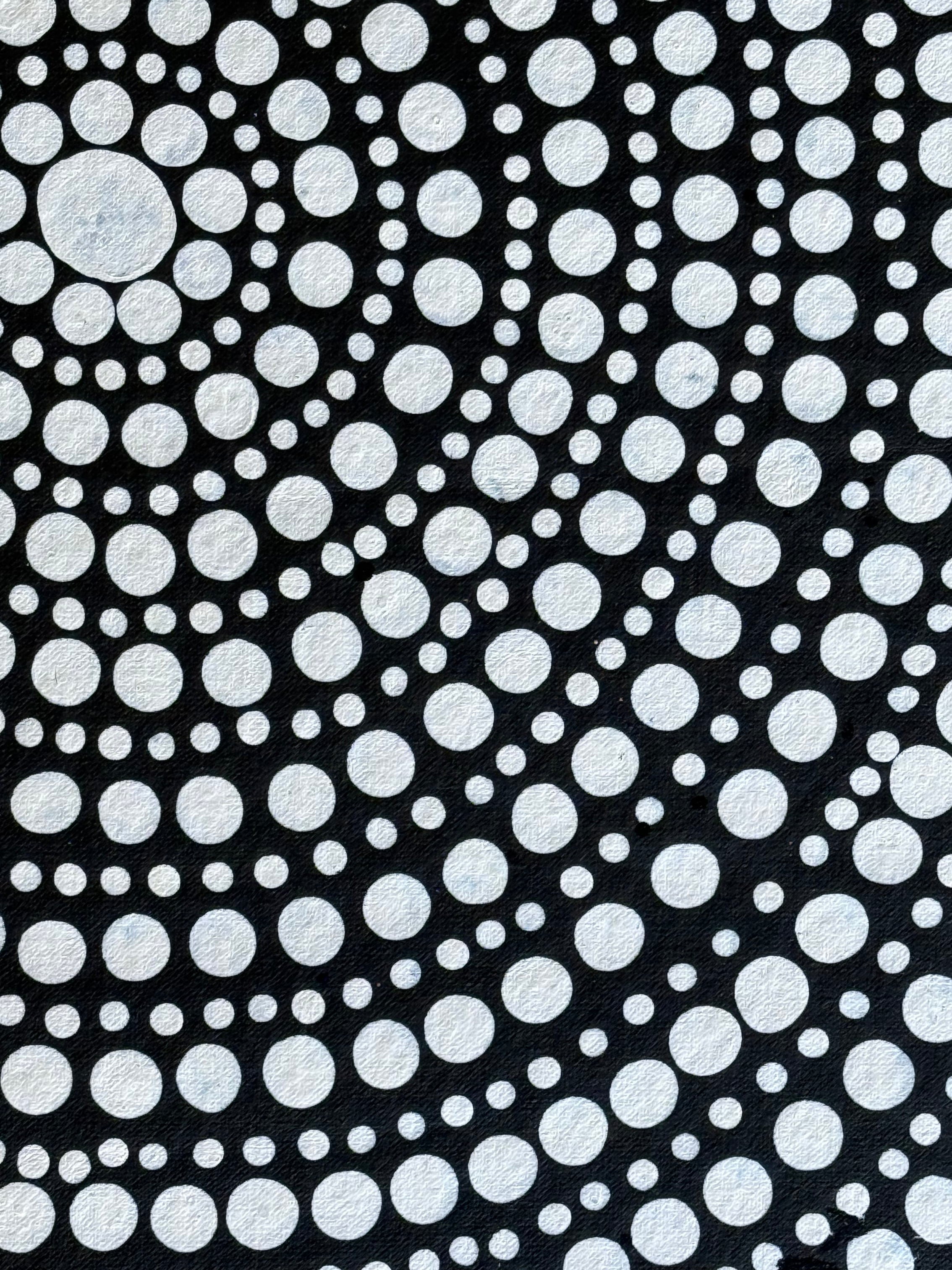 Susie Pollard - Water Hole Dreaming .64-2