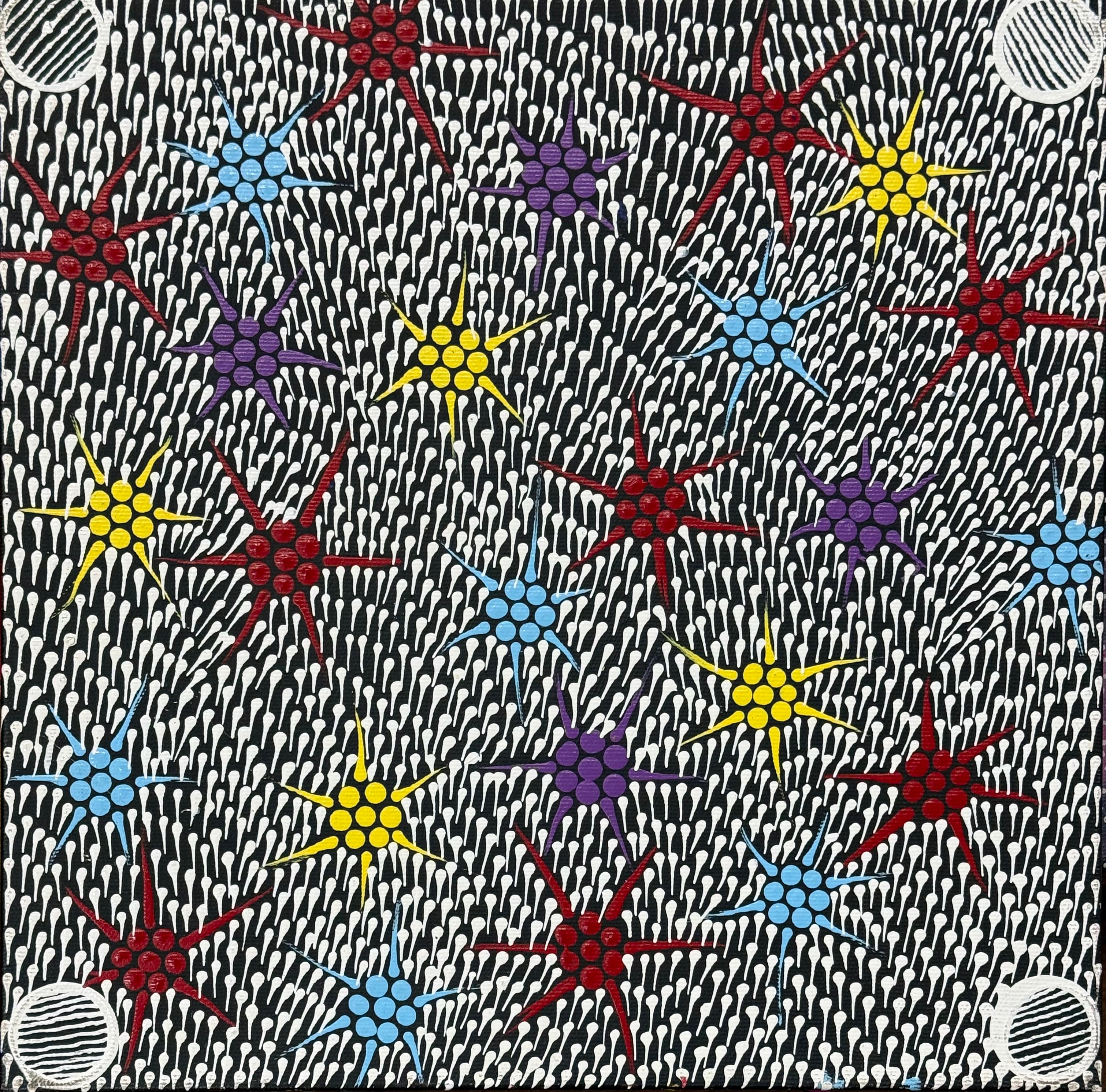 Sandra Napanangka Frank - Lukarrara Jukurrpa (Desert Fringe-Rush Seed Dreaming) - Stretched